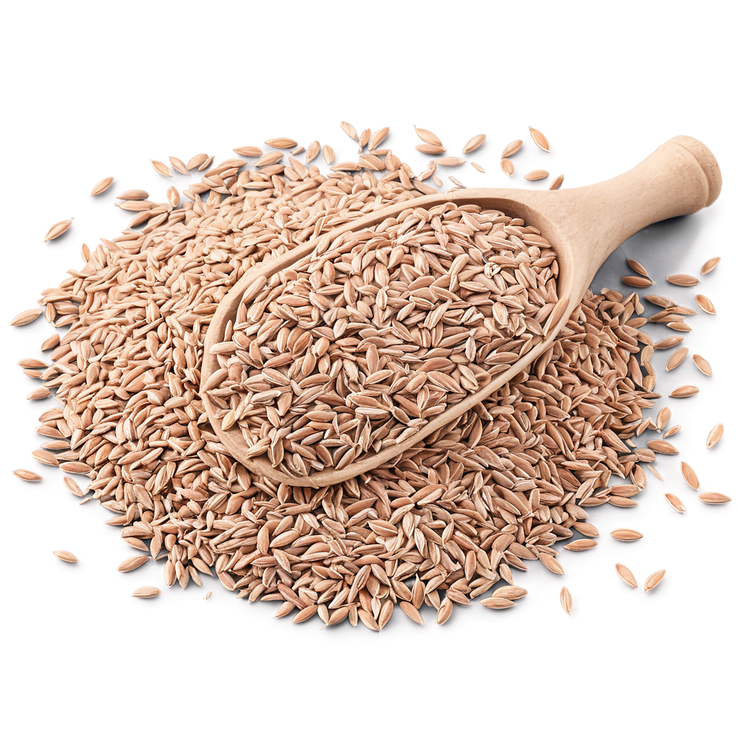 Spelt grains isolated on transparent background #5527
