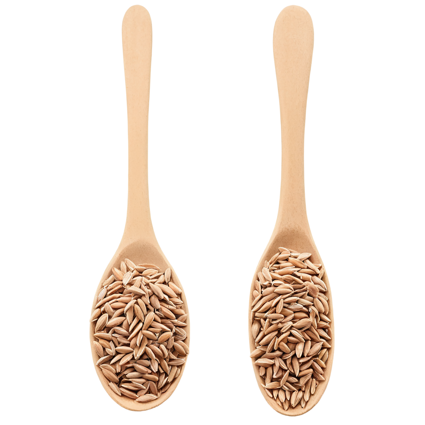 Spelt grains isolated on transparent background #5528