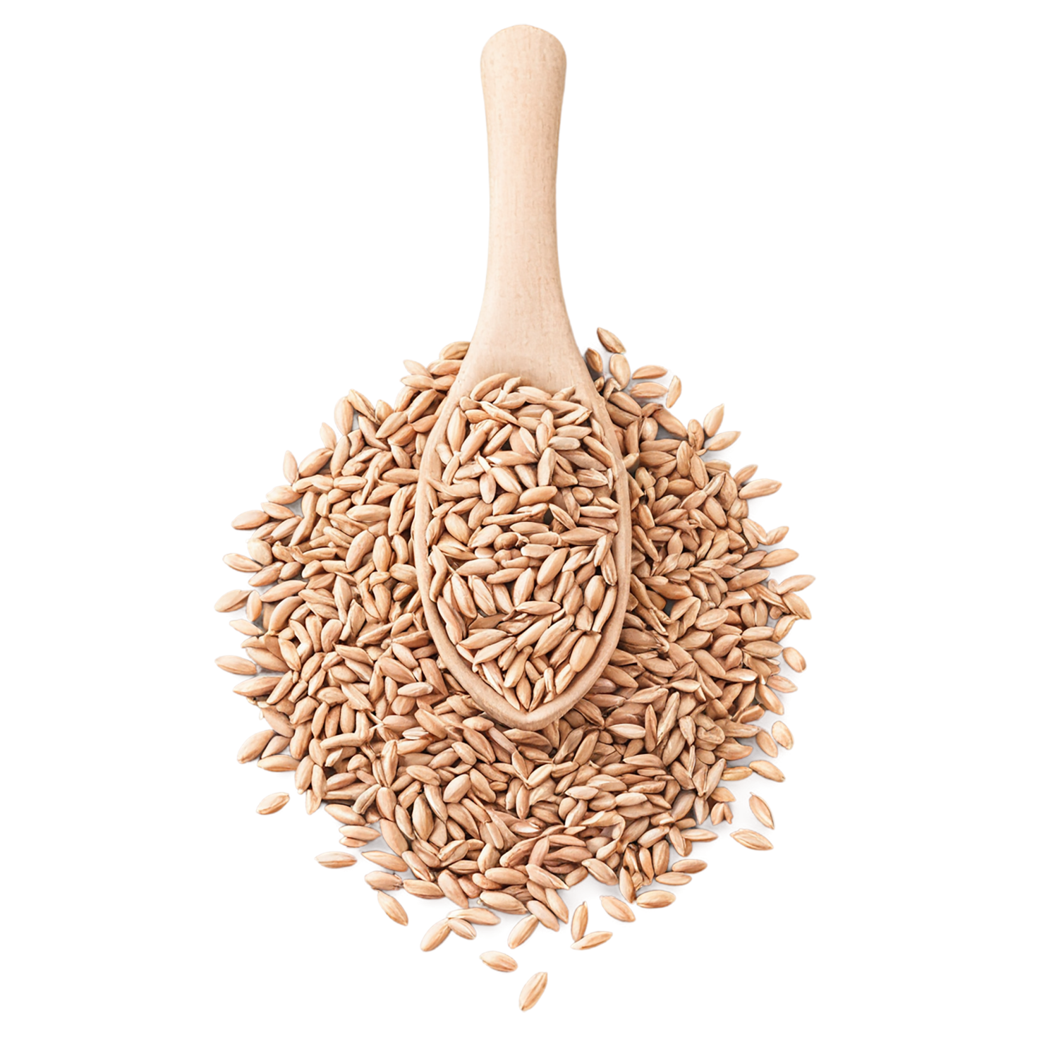 Spelt grains isolated on transparent background #5530