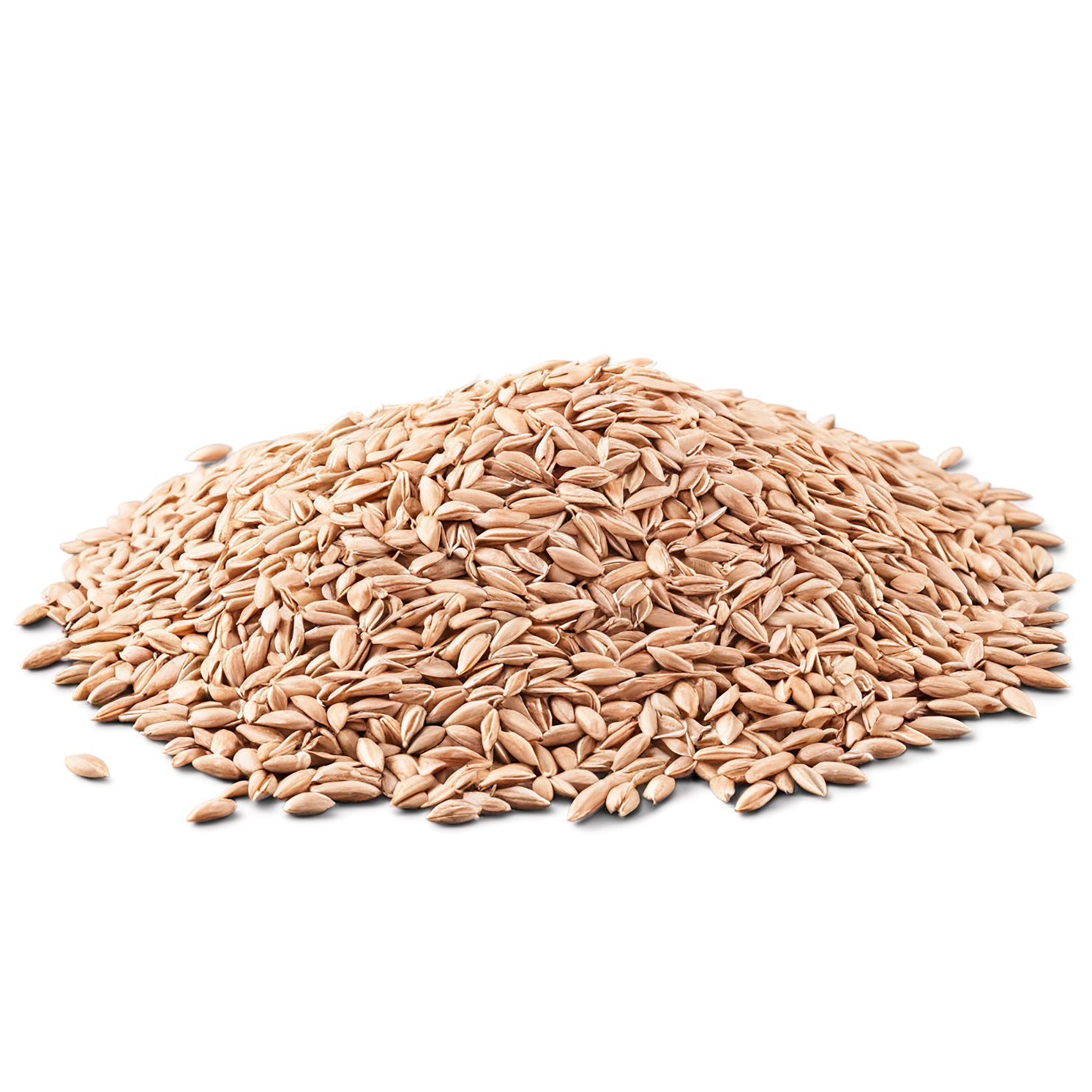 Spelt grains isolated on transparent background #5532