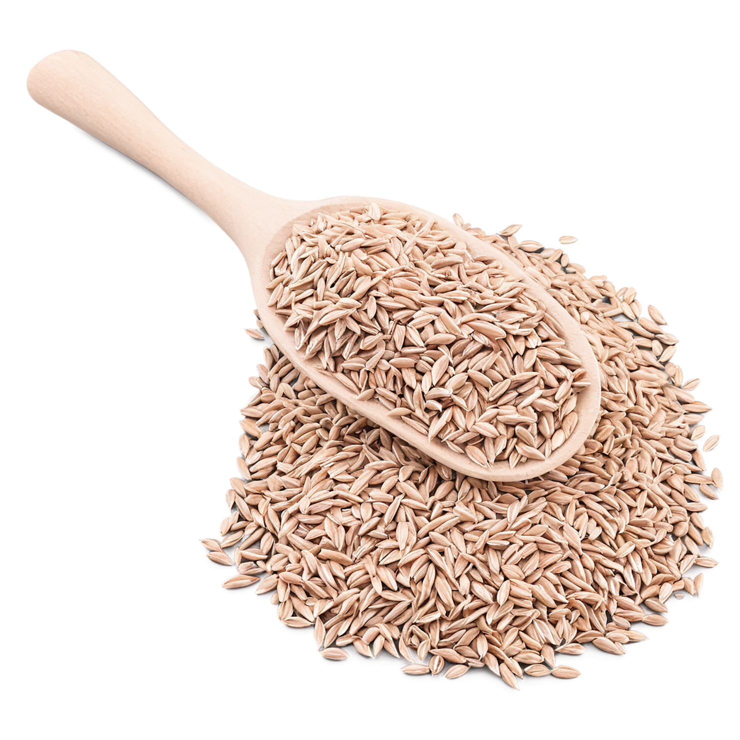 Spelt grains isolated on transparent background #5533
