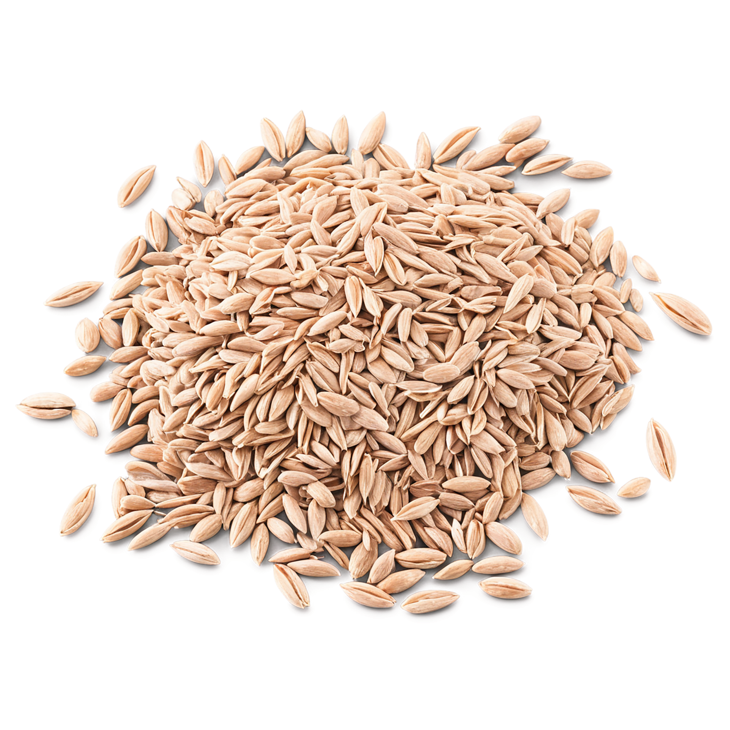 Spelt grains isolated on transparent background #5538