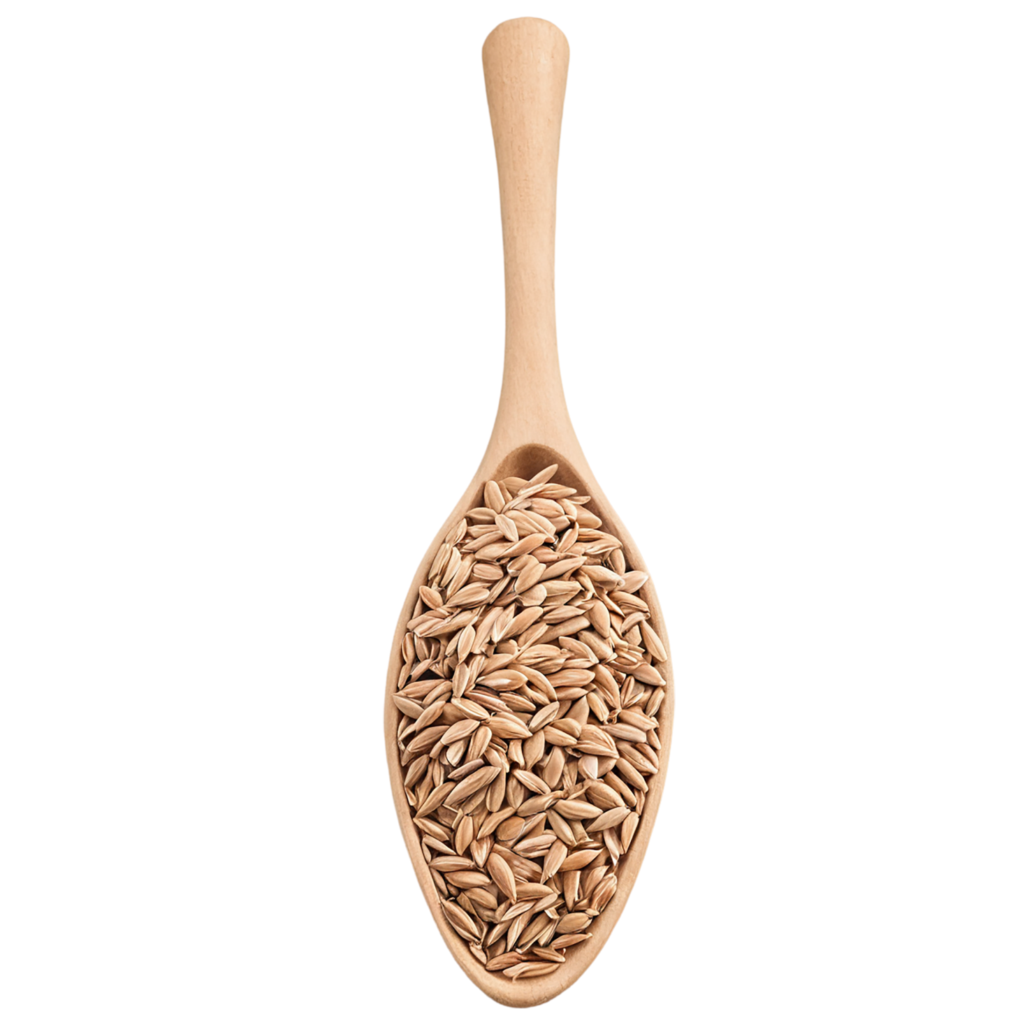 Spelt grains isolated on transparent background #5539