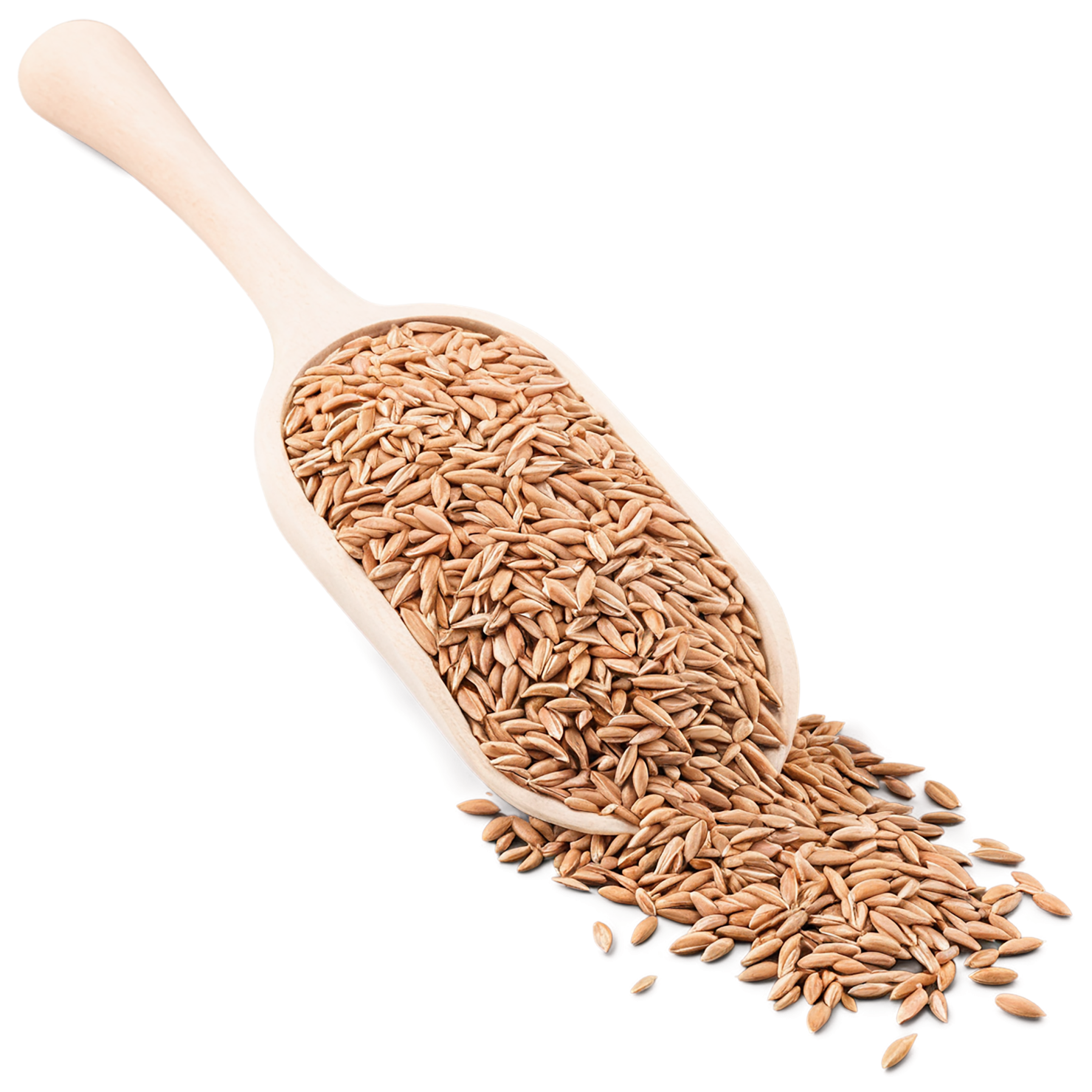 Spelt grains isolated on transparent background #5540