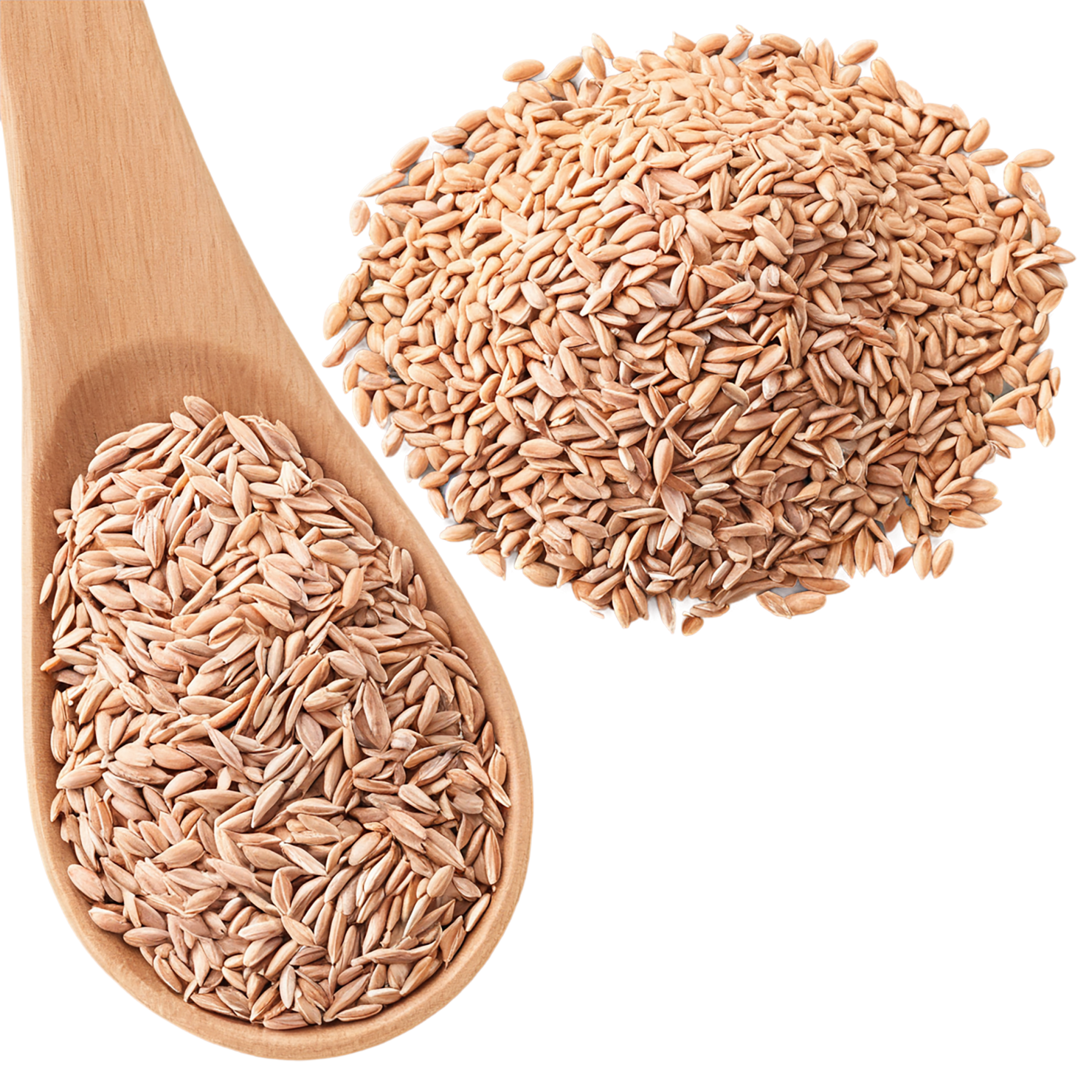 Spelt grains isolated on transparent background #5542