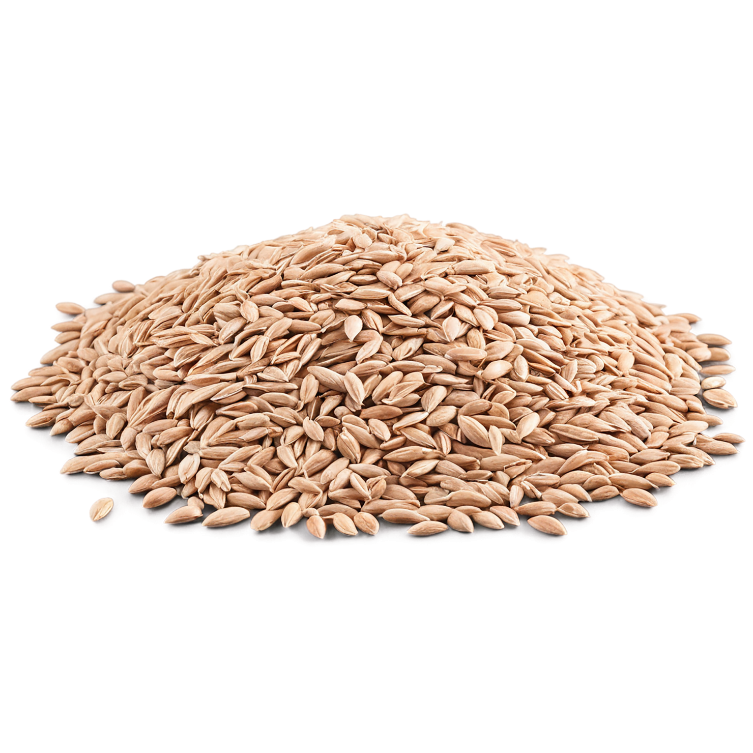 Spelt grains isolated on transparent background #5543