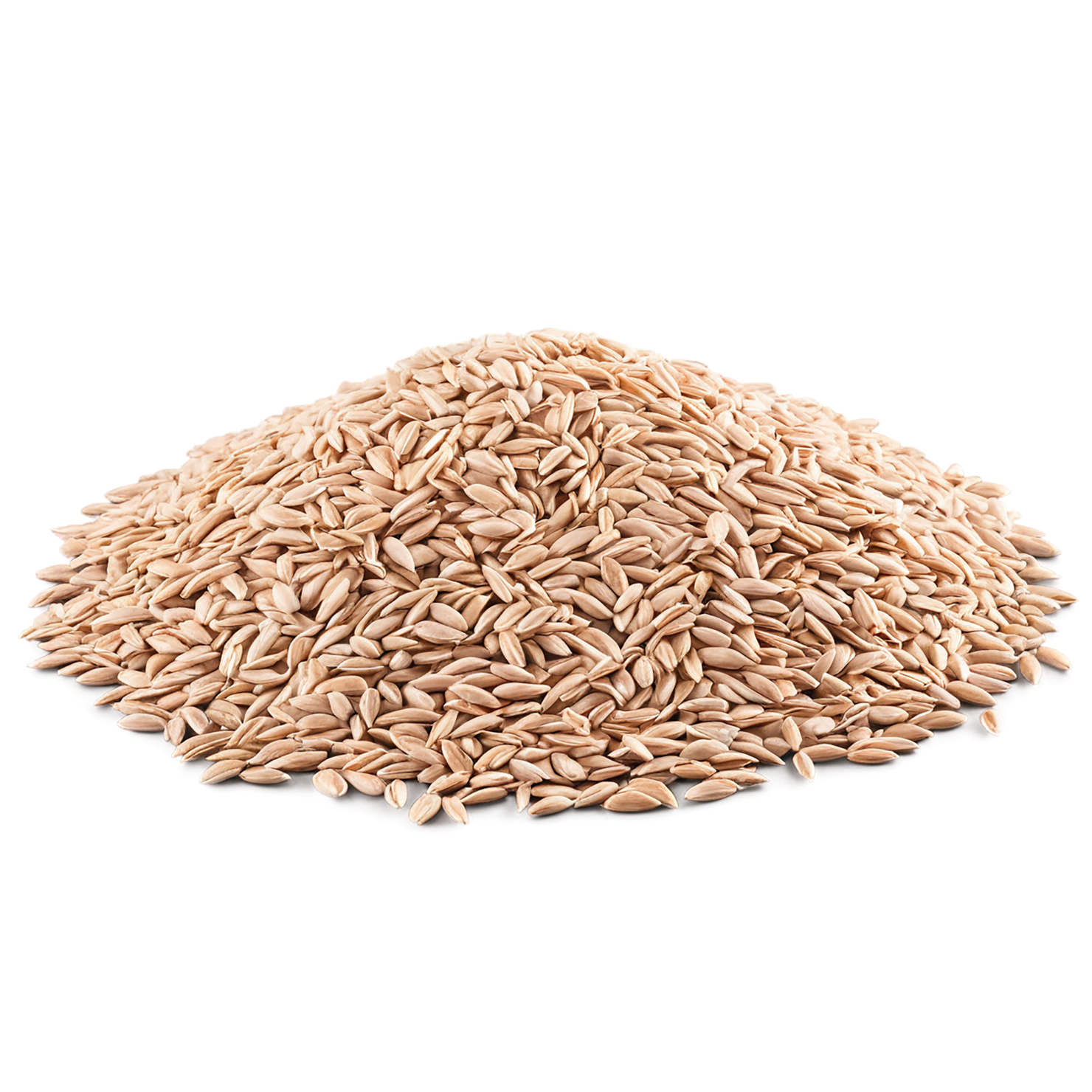 Spelt grains isolated on transparent background #5545