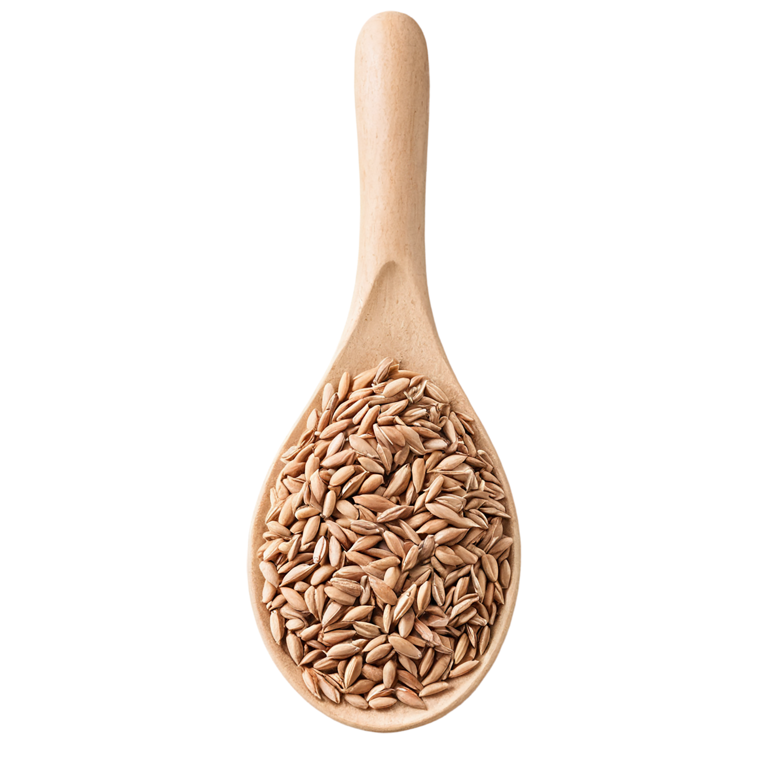 Spelt grains isolated on transparent background #5546