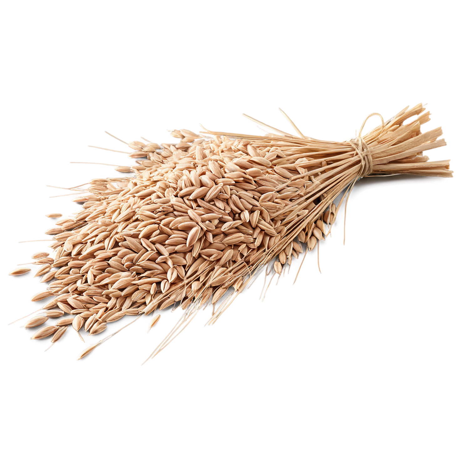 Spelt grains isolated on transparent background #5547