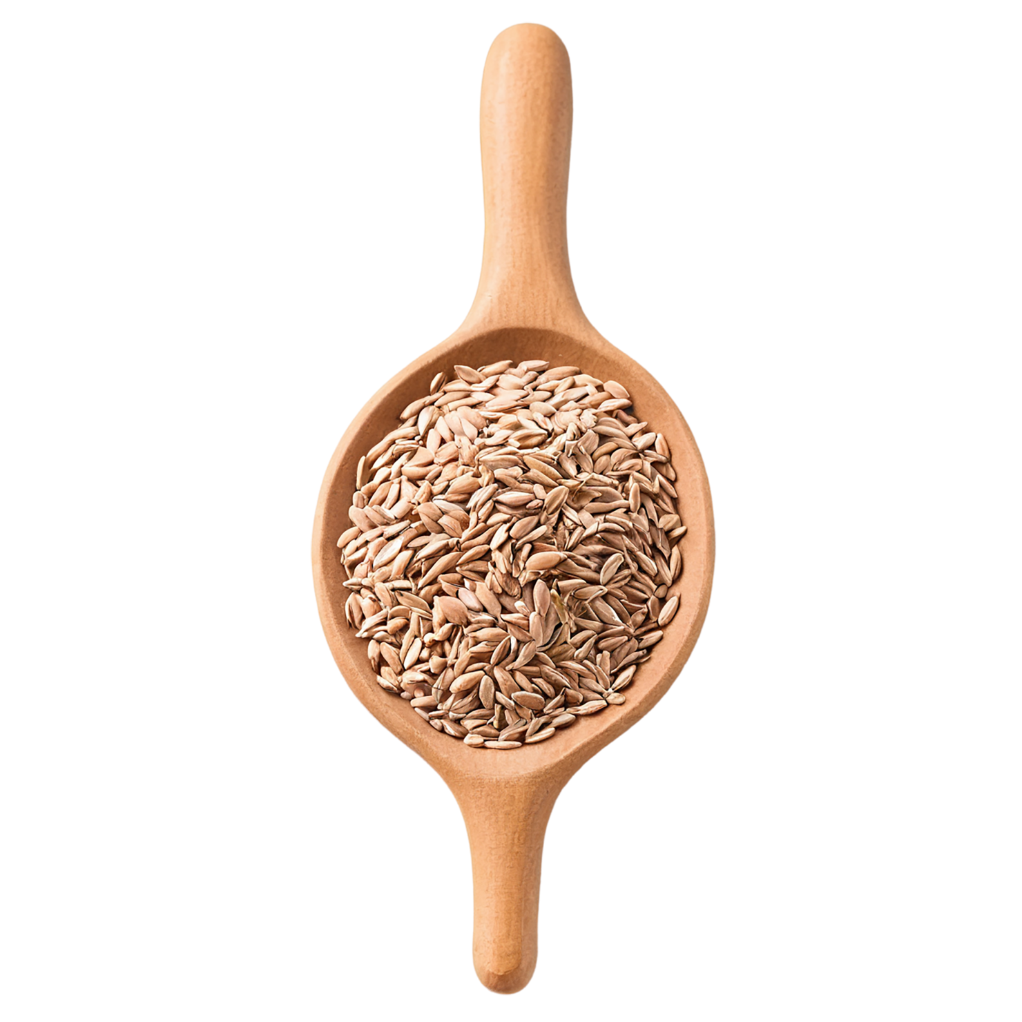 Spelt grains isolated on transparent background #5549