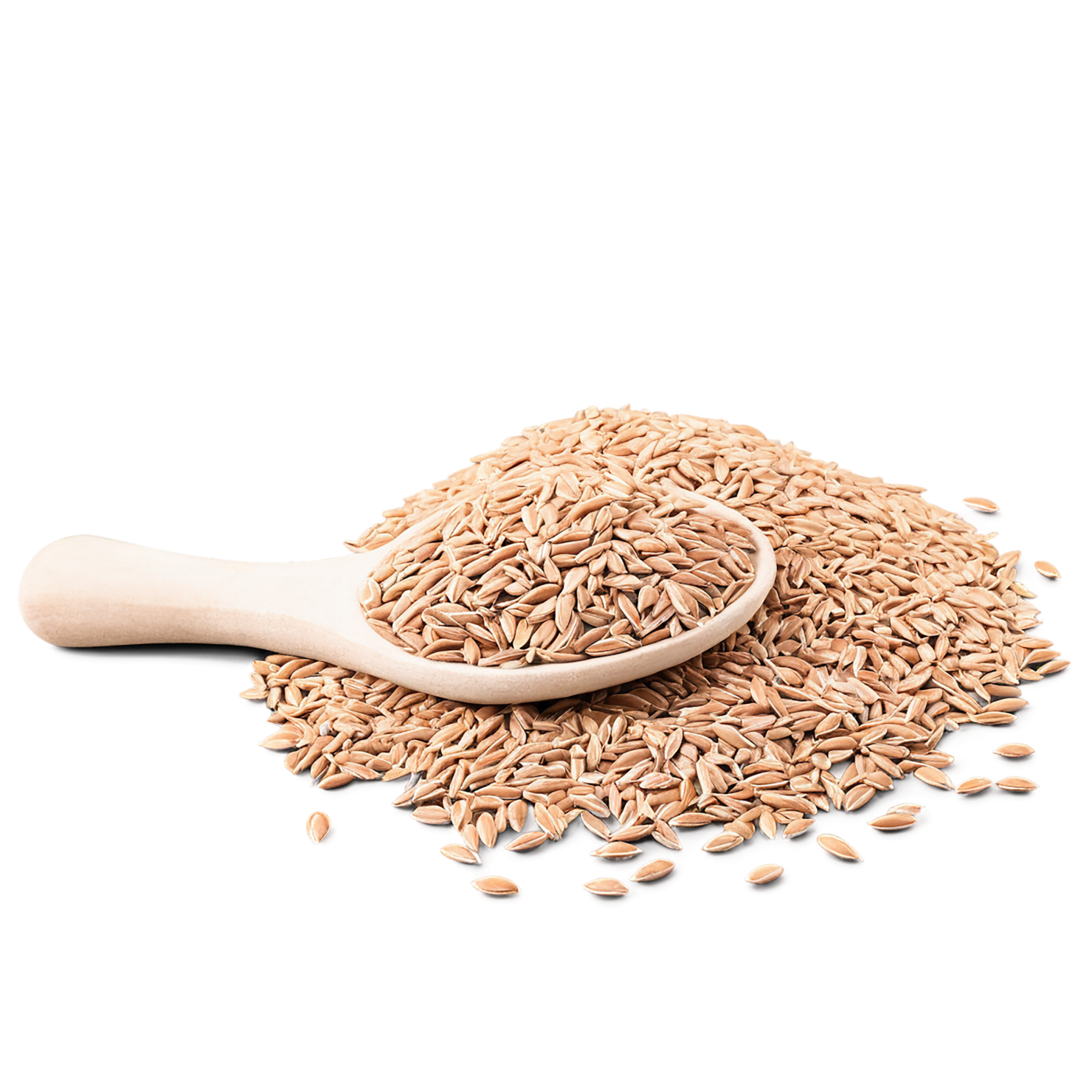Spelt grains isolated on transparent background #5552