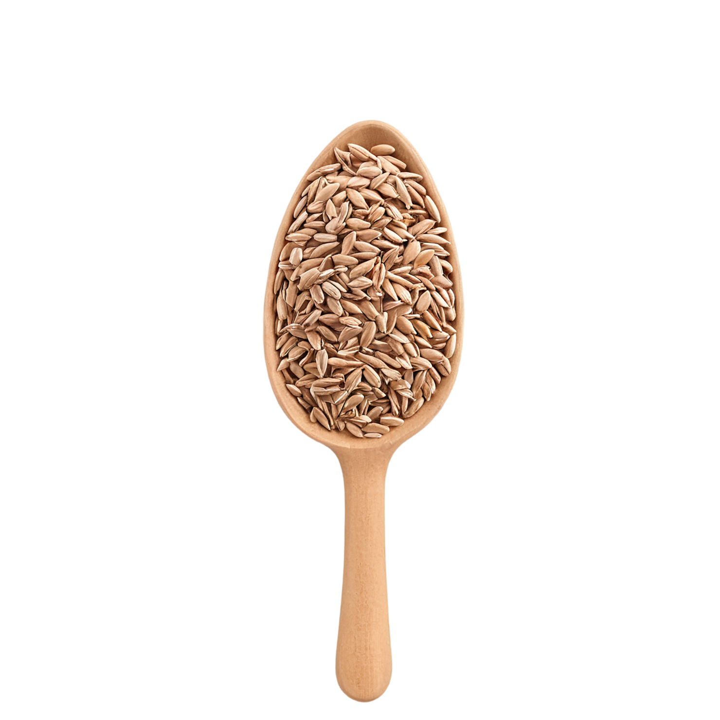 Spelt grains isolated on transparent background #5554
