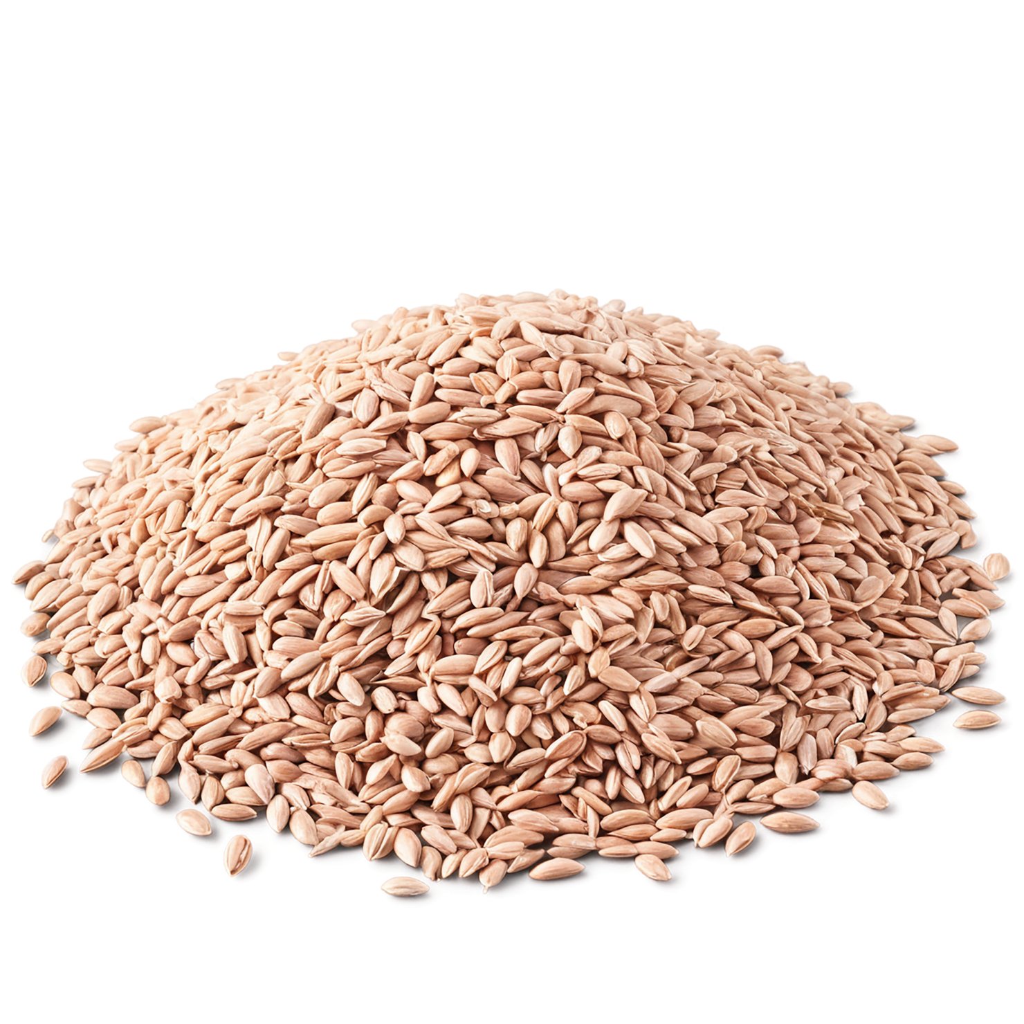 Spelt grains isolated on transparent background #5555