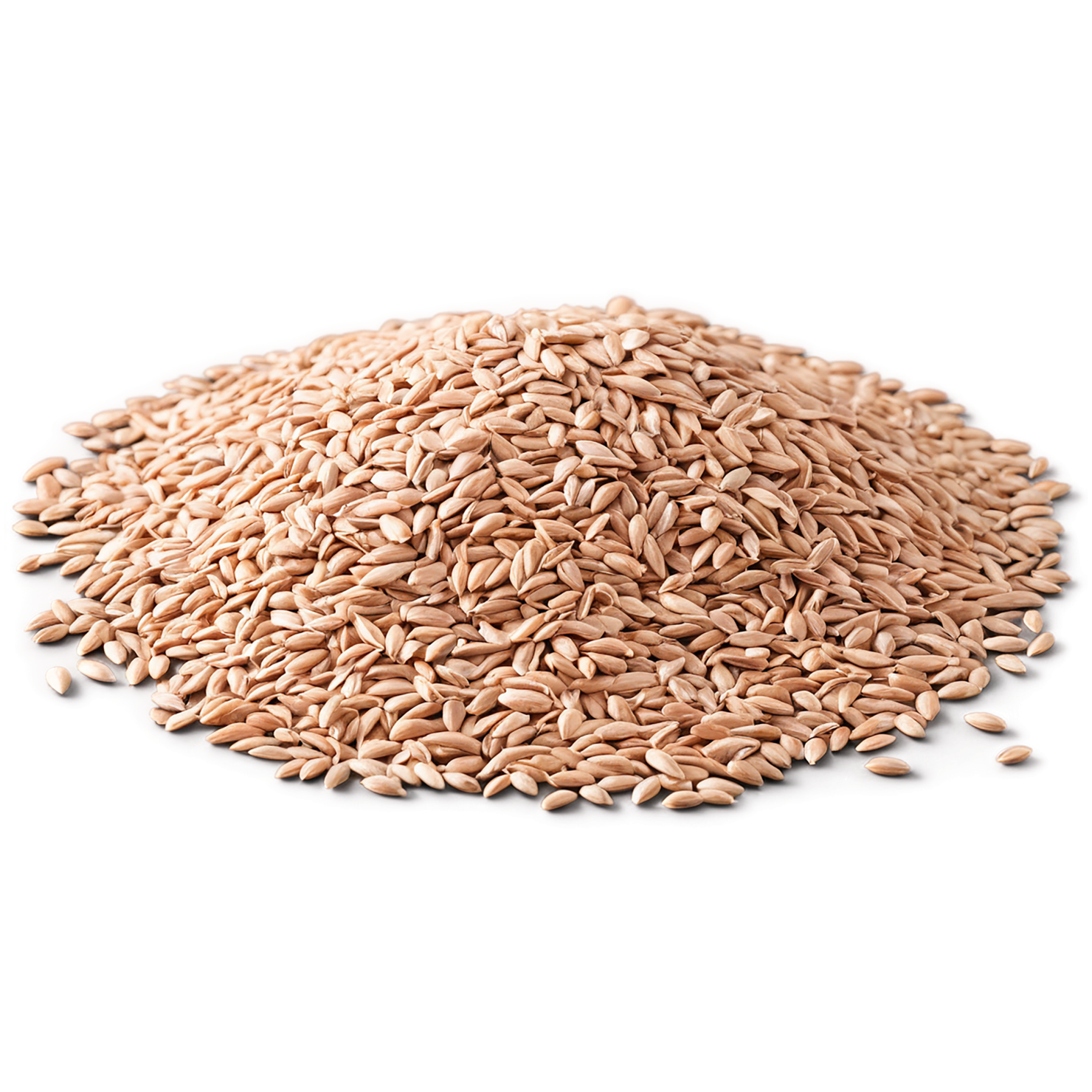 Spelt grains isolated on transparent background #5557