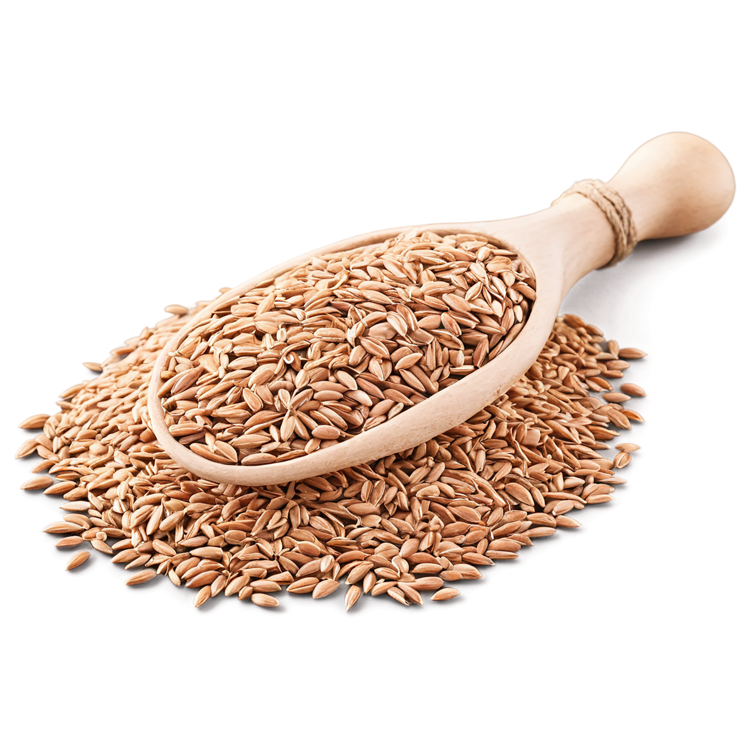 Spelt grains isolated on transparent background #5558
