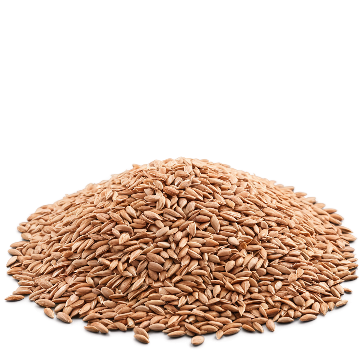Spelt grains isolated on transparent background #5560