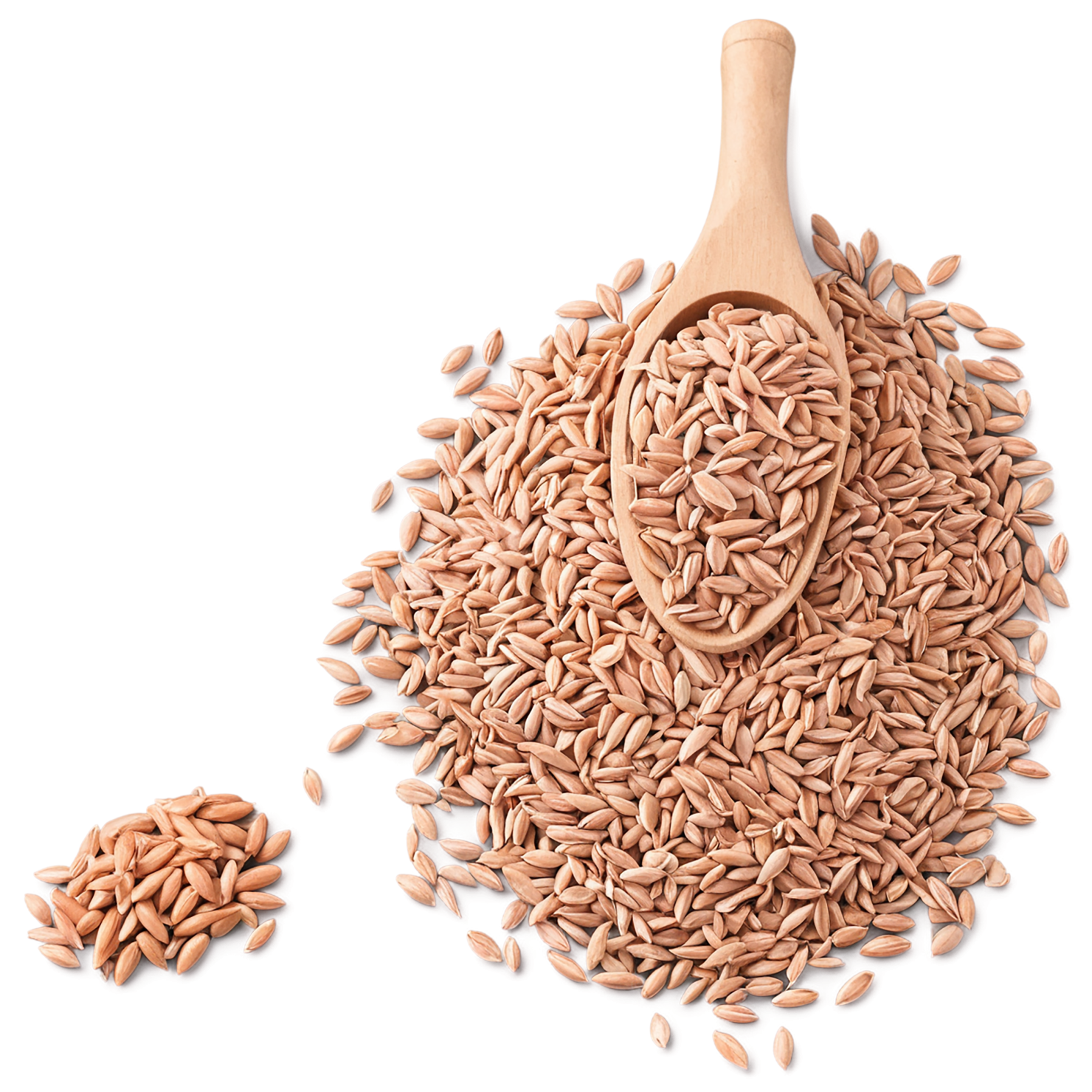 Spelt grains isolated on transparent background #5563
