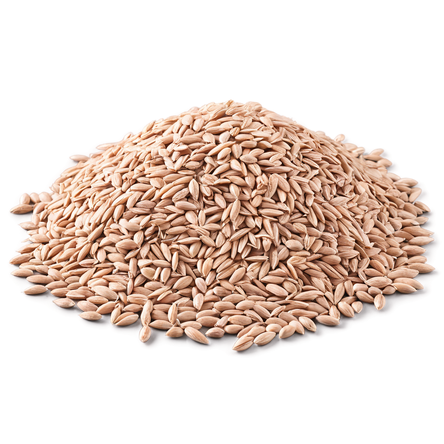 Spelt grains isolated on transparent background #5566