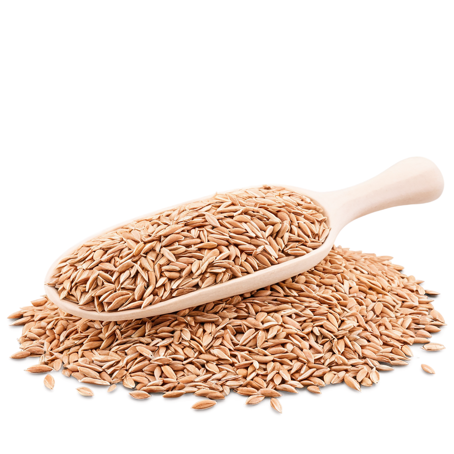 Spelt grains isolated on transparent background #5569