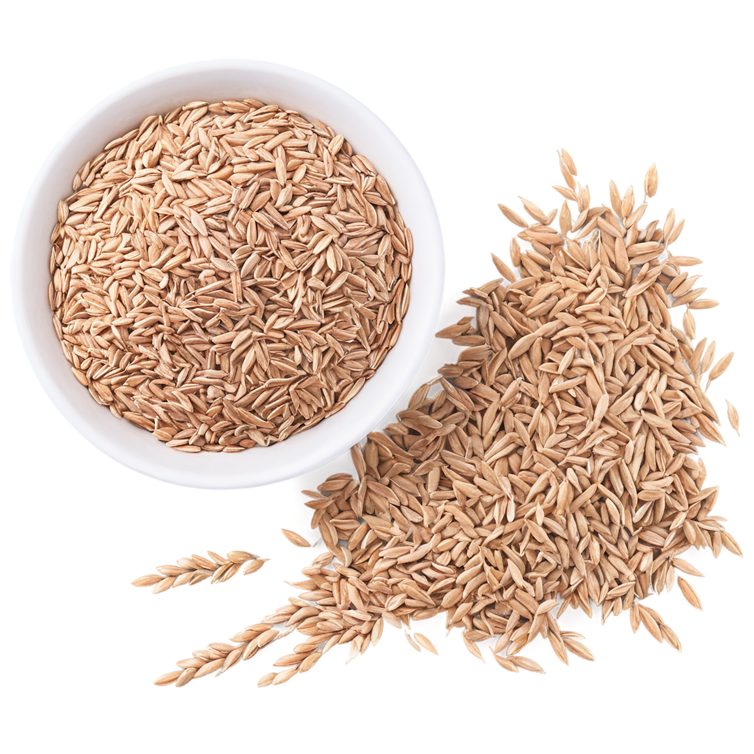 Spelt grains isolated on transparent background #5574