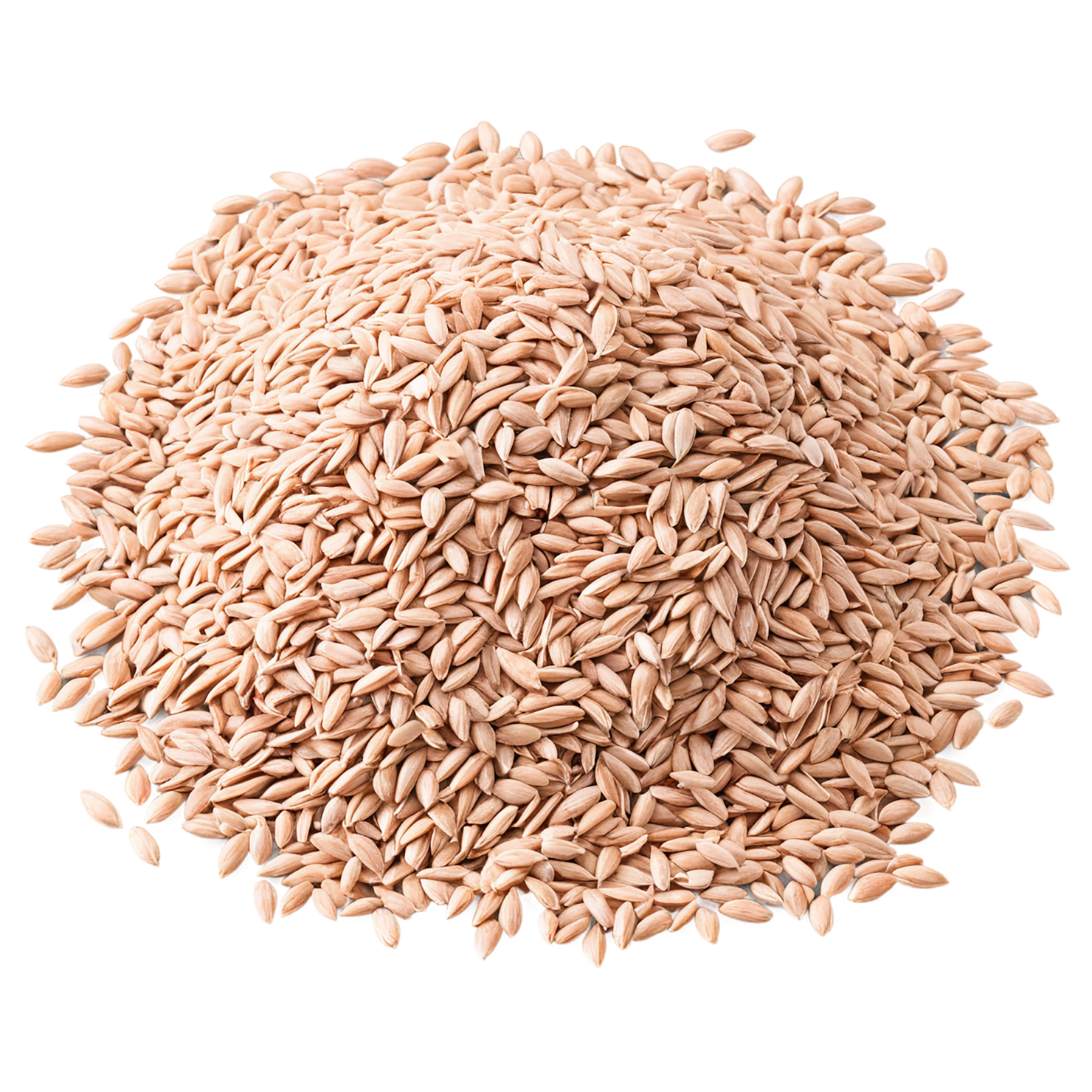 Spelt grains isolated on transparent background #5576