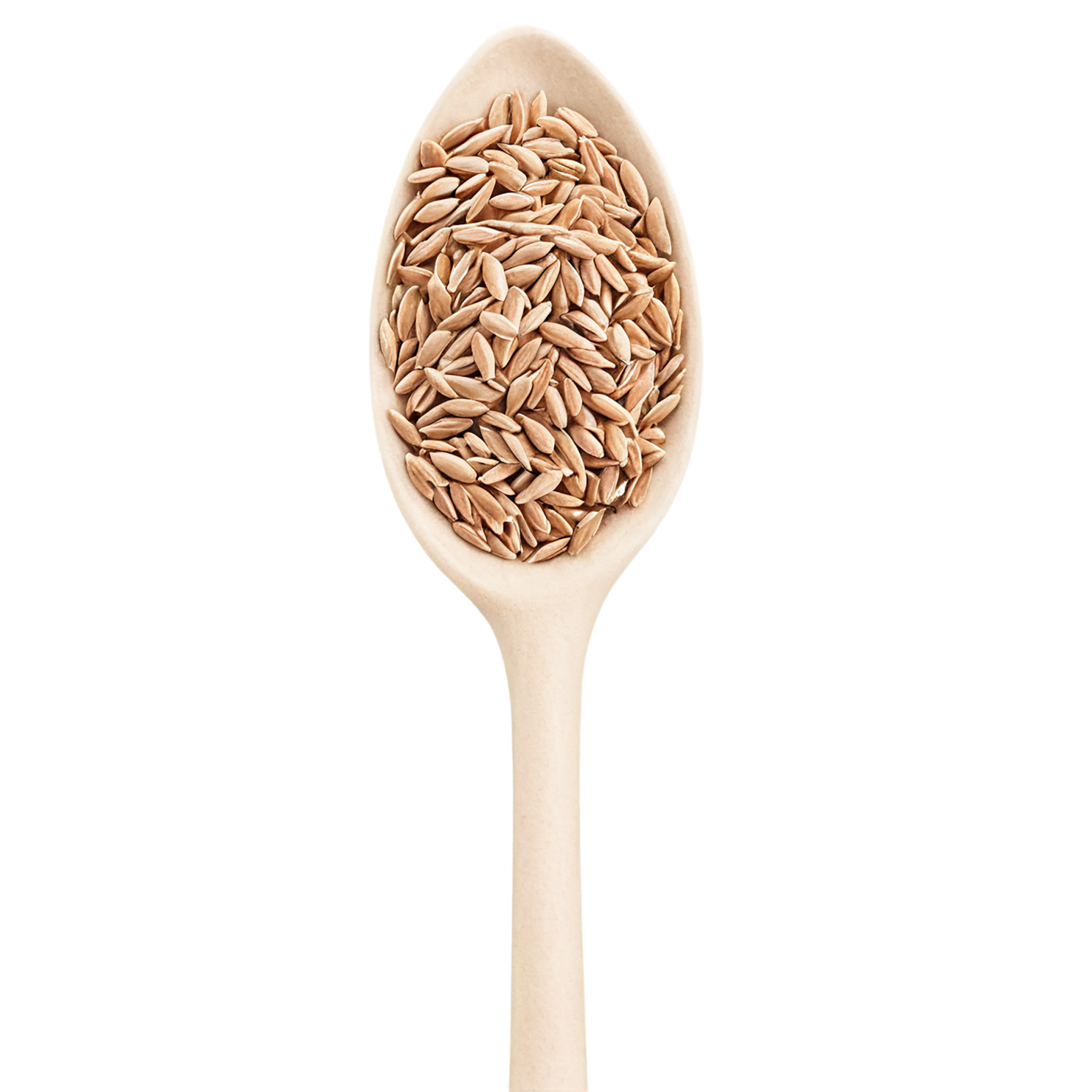 Spelt grains isolated on transparent background #5577