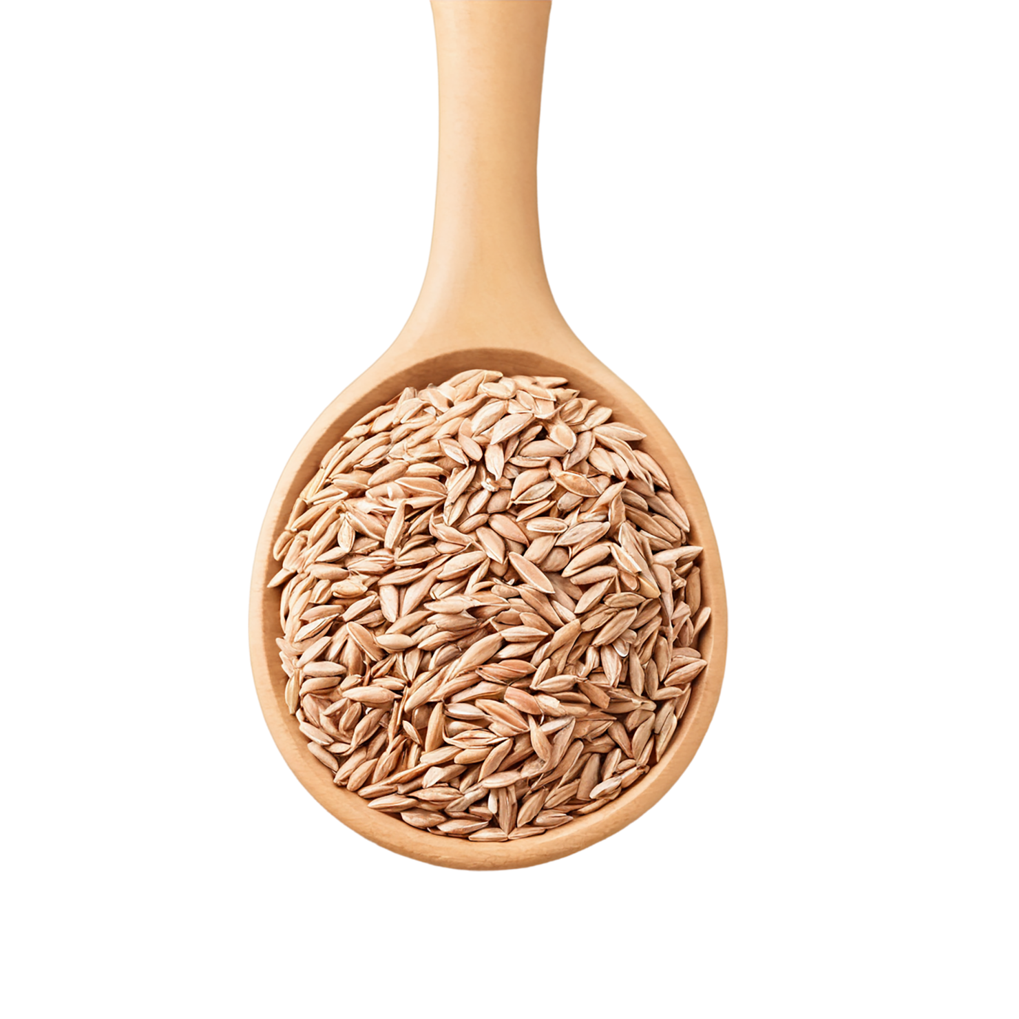 Spelt grains isolated on transparent background #5579
