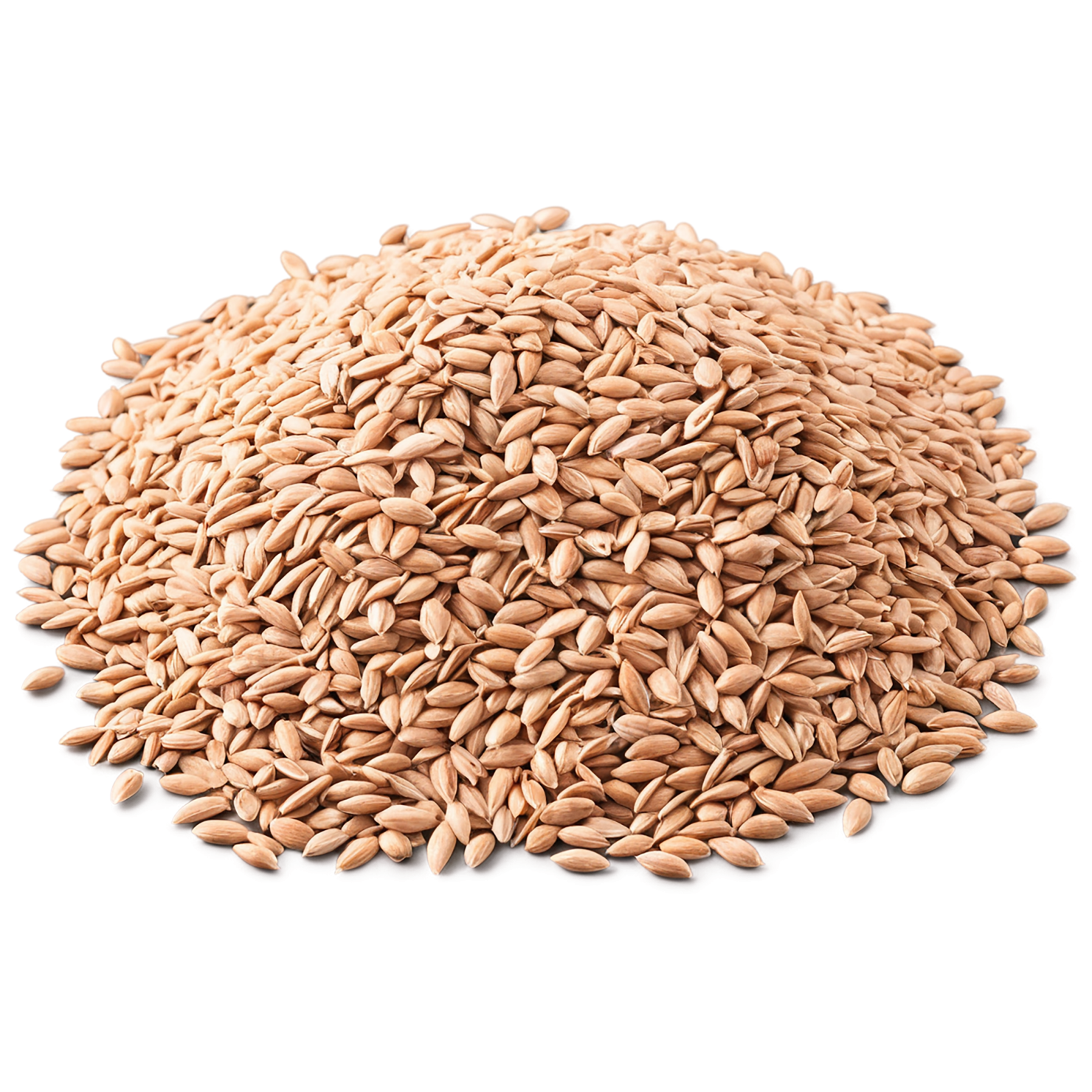 Spelt grains isolated on transparent background #5580