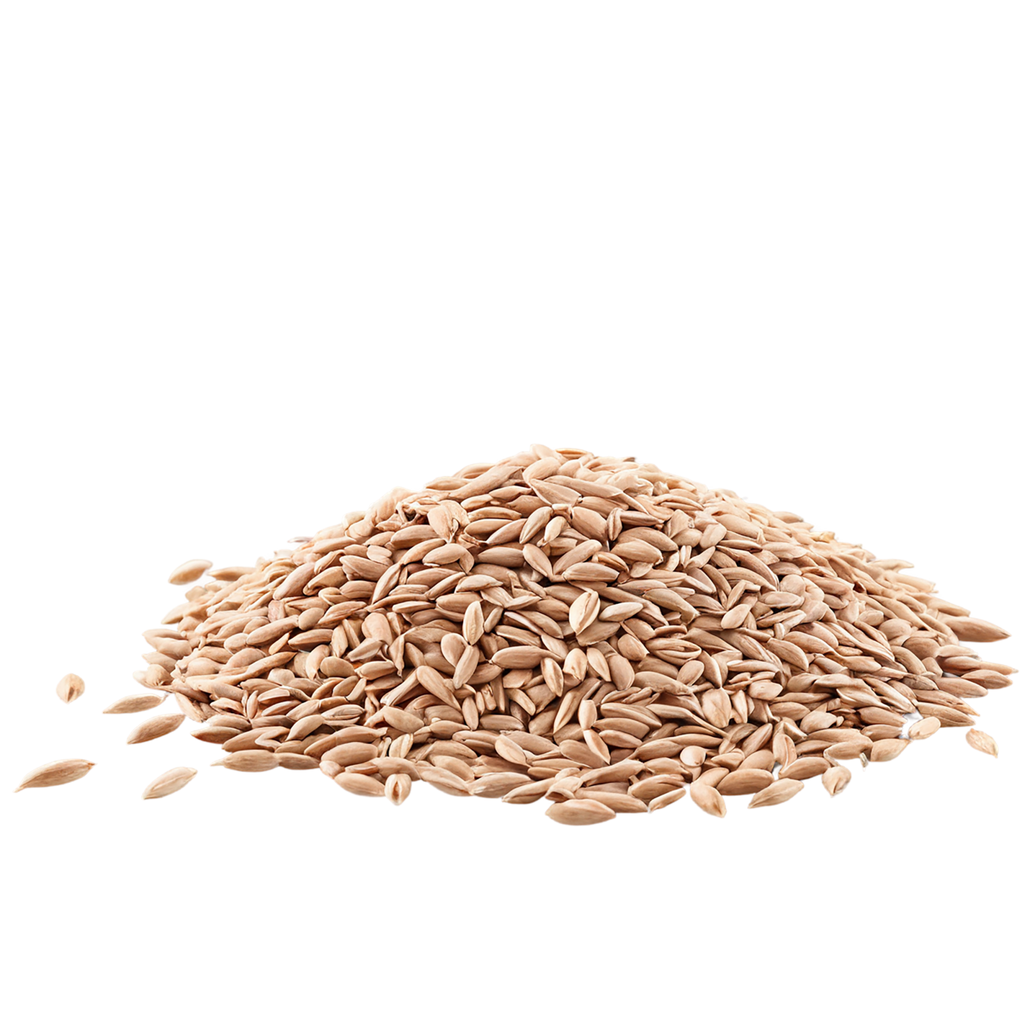 Spelt grains isolated on transparent background #5582