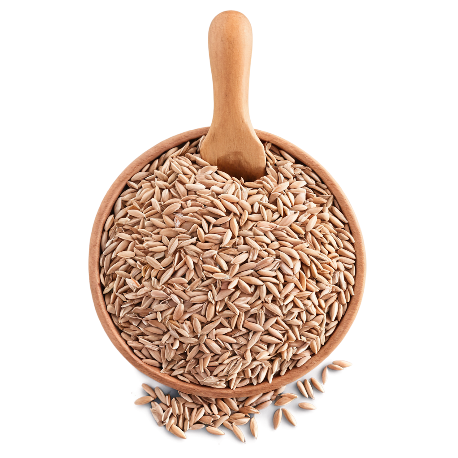 Spelt grains isolated on transparent background #5594