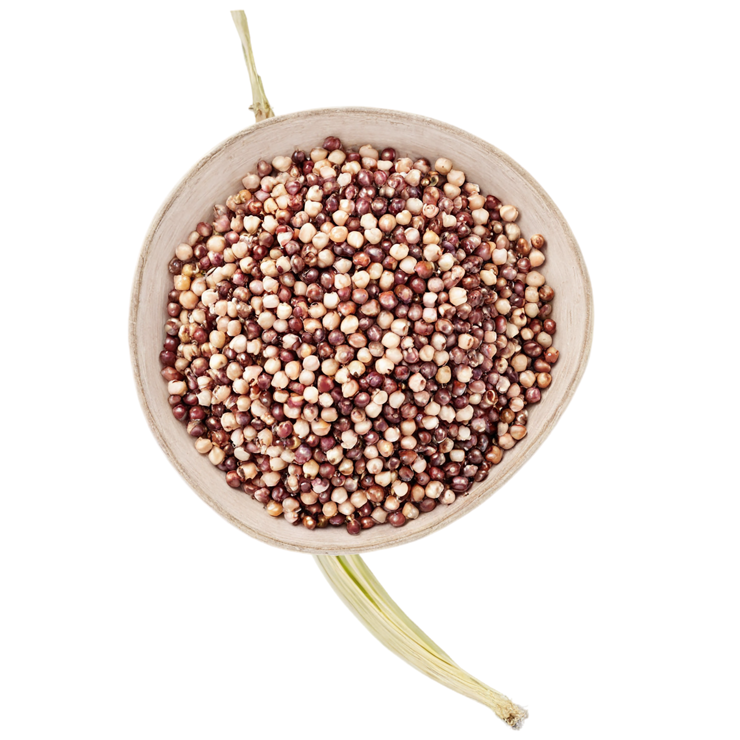 Sorghum grains isolated on transparent background #5638