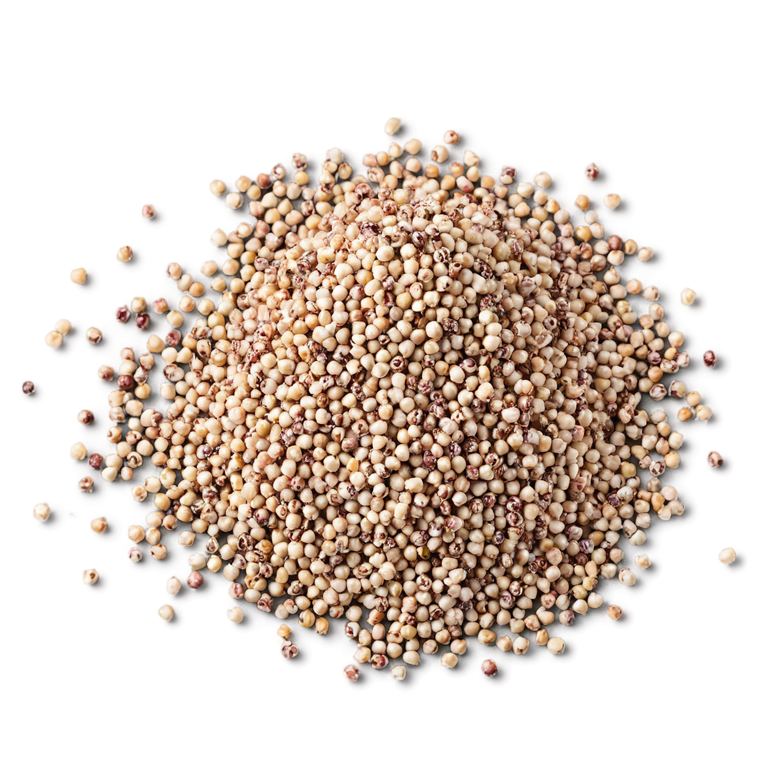 Sorghum grains isolated on transparent background #5643