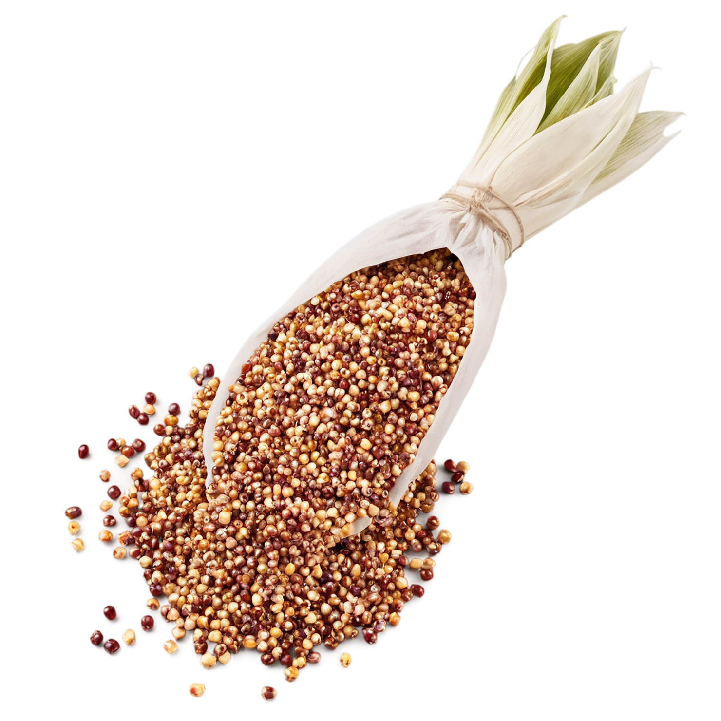 Sorghum grains isolated on transparent background #5652