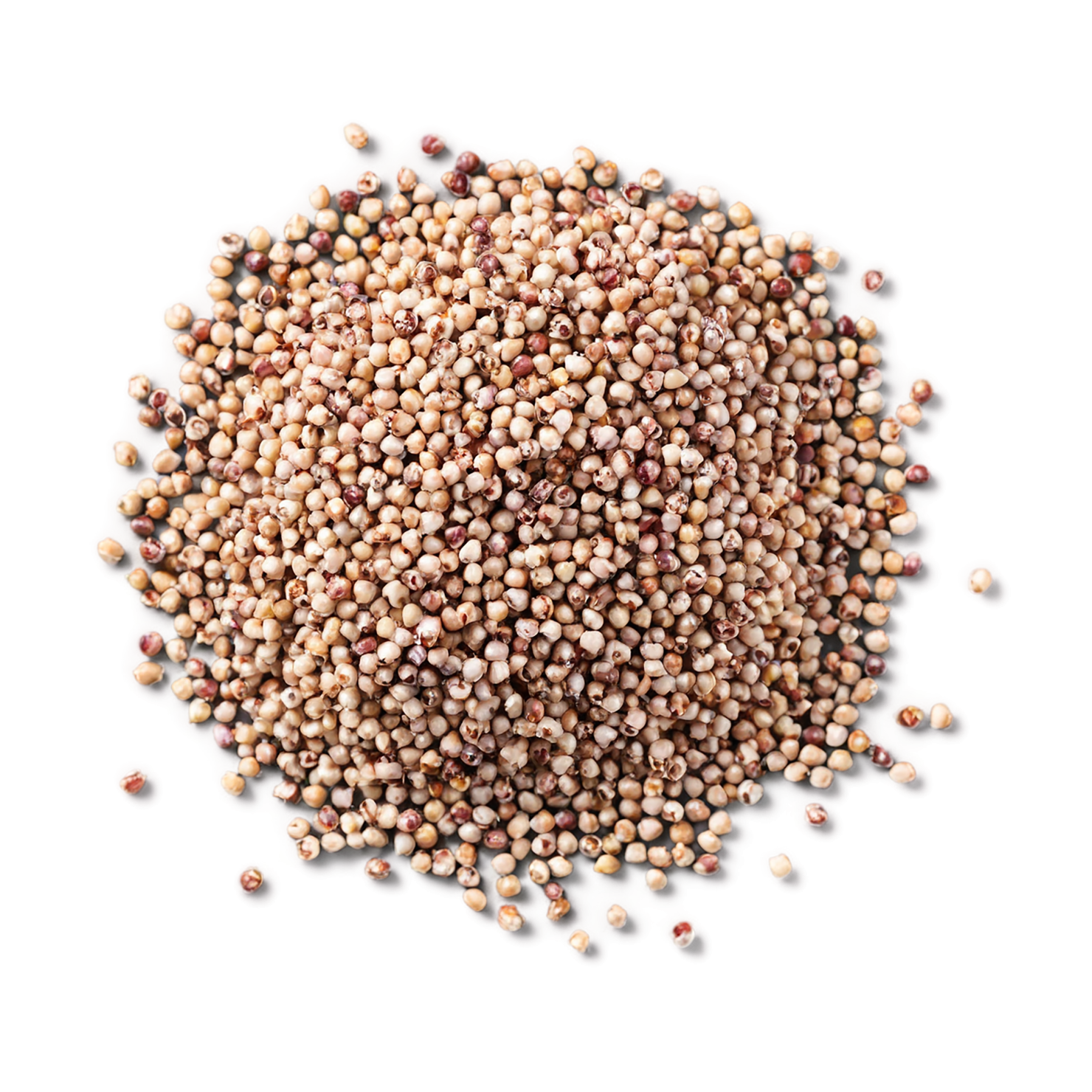 Sorghum grains isolated on transparent background #5653