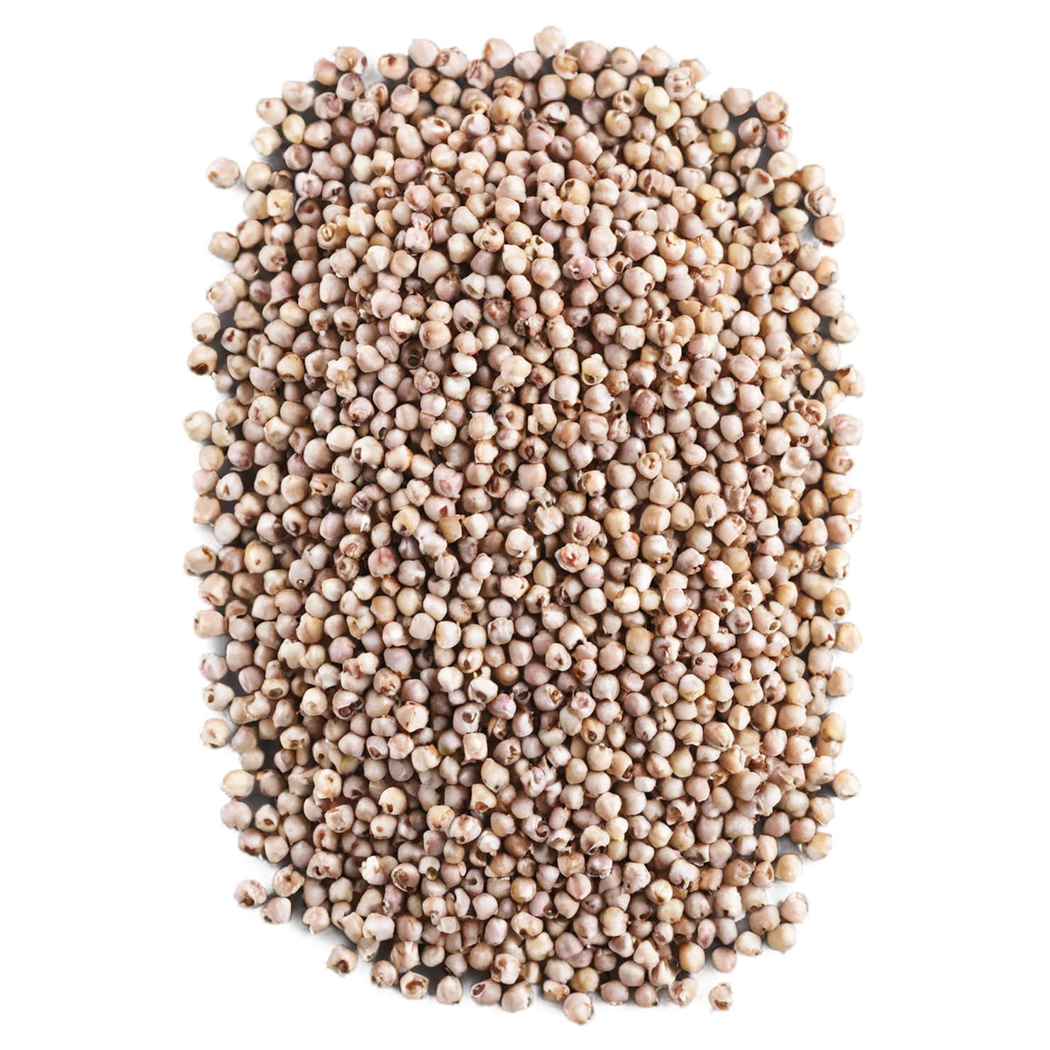 Sorghum grains isolated on transparent background #5673