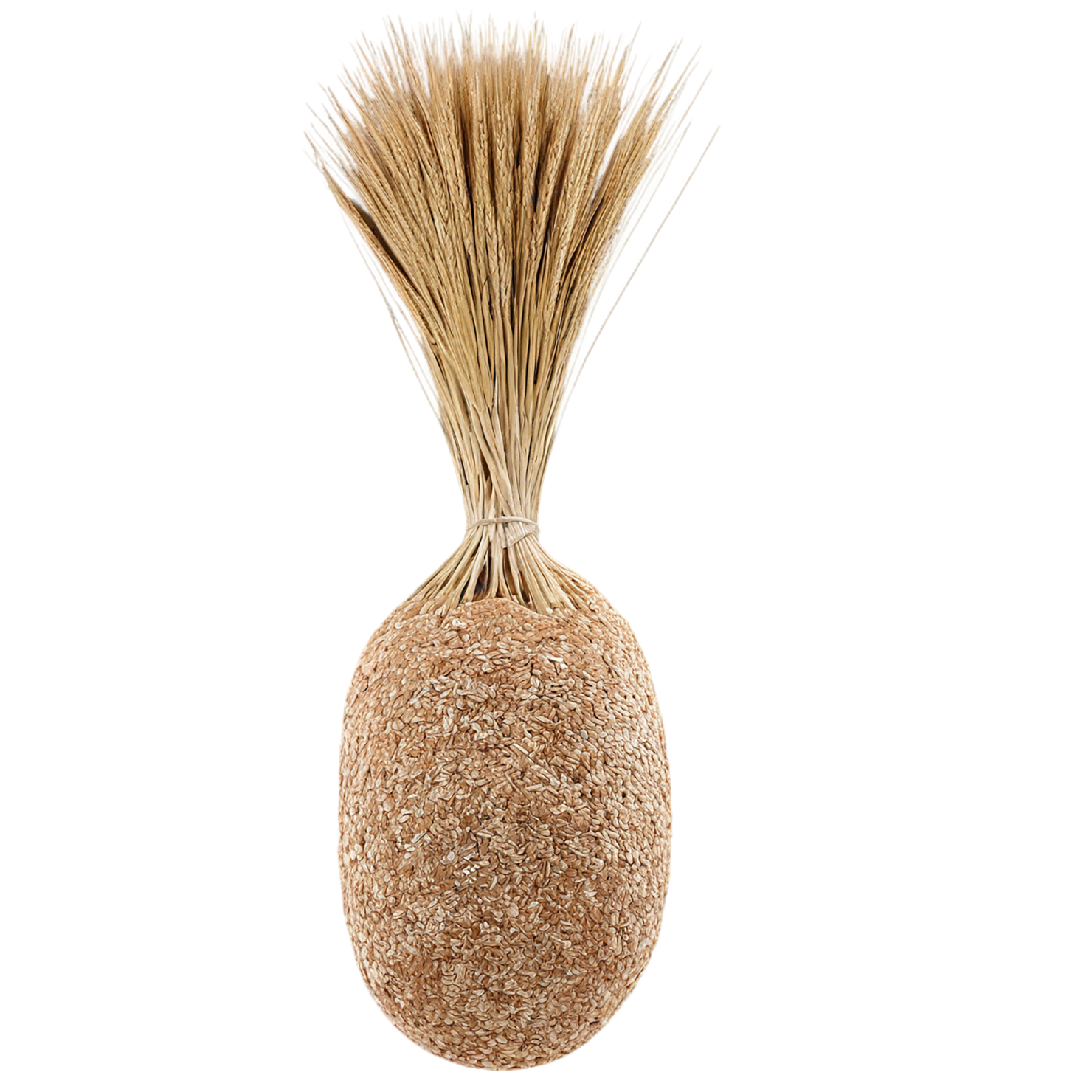 Rye grains isolated on transparent background #5700