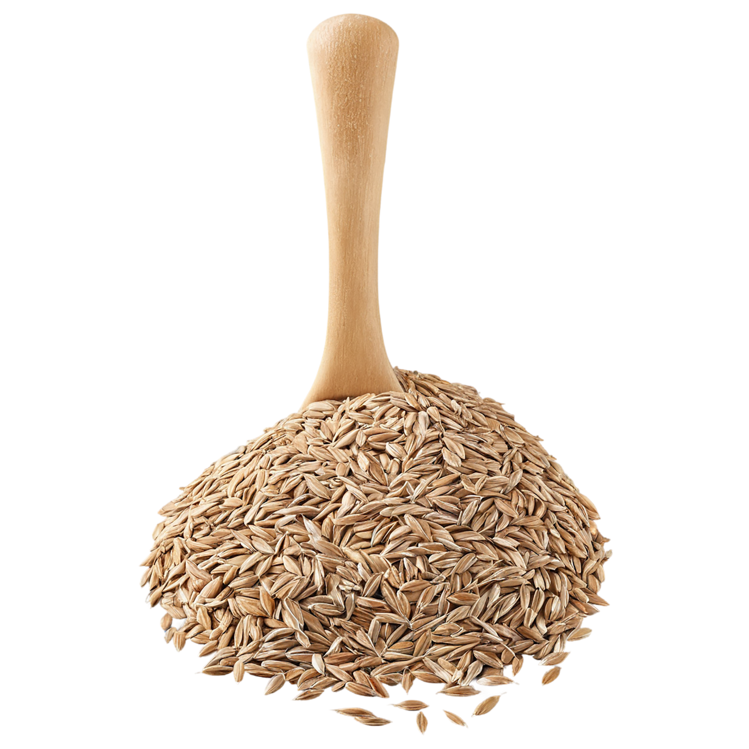 Rye grains isolated on transparent background #5708