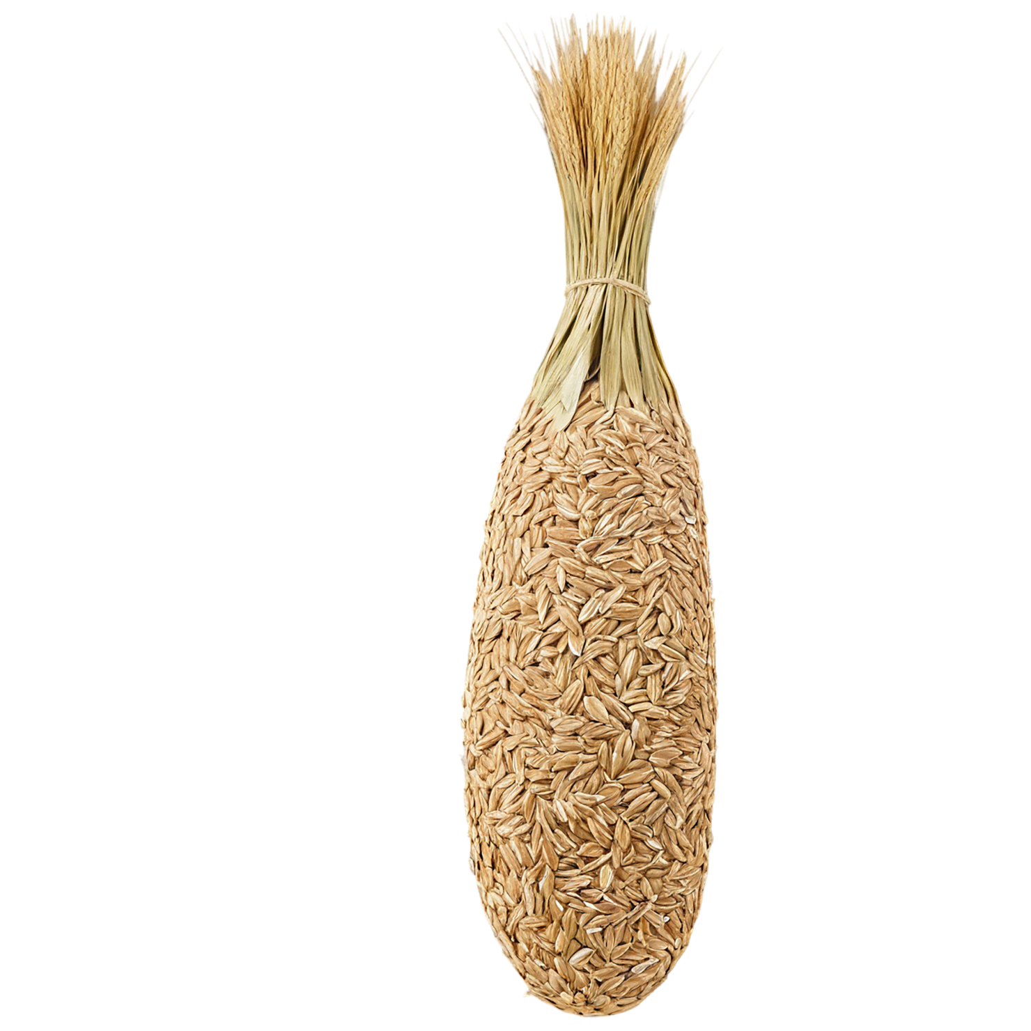 Rye grains isolated on transparent background #5711
