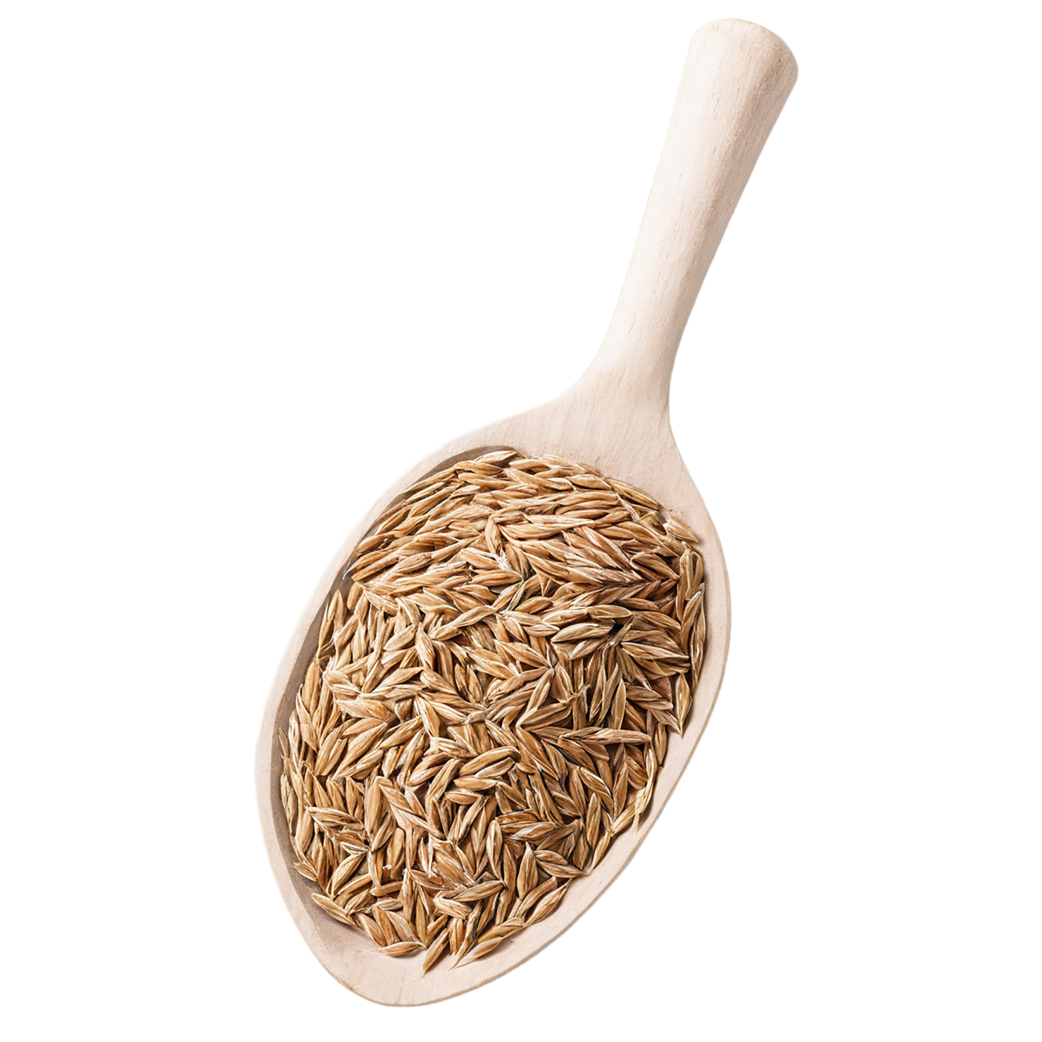 Rye grains isolated on transparent background #5712