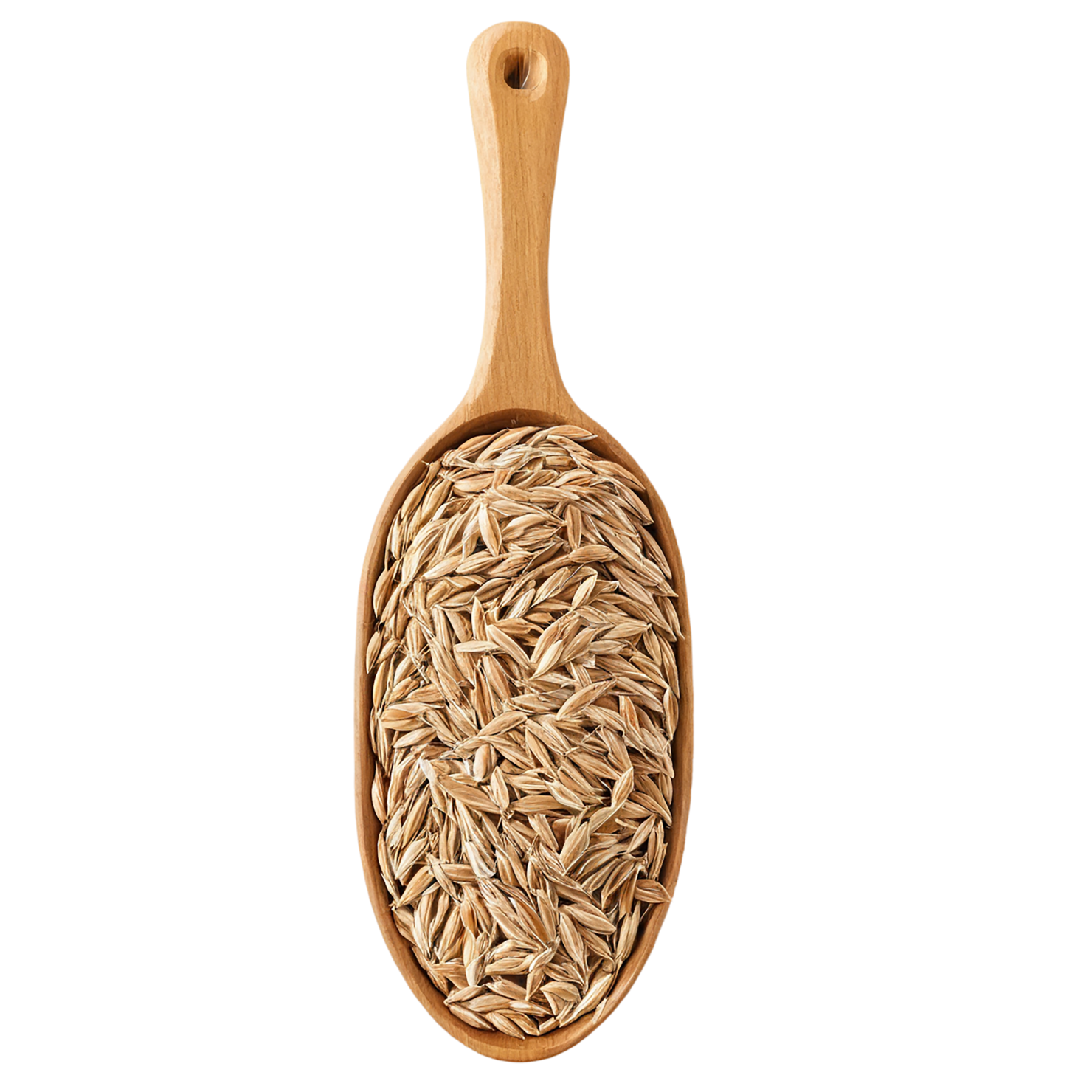 Rye grains isolated on transparent background #5713