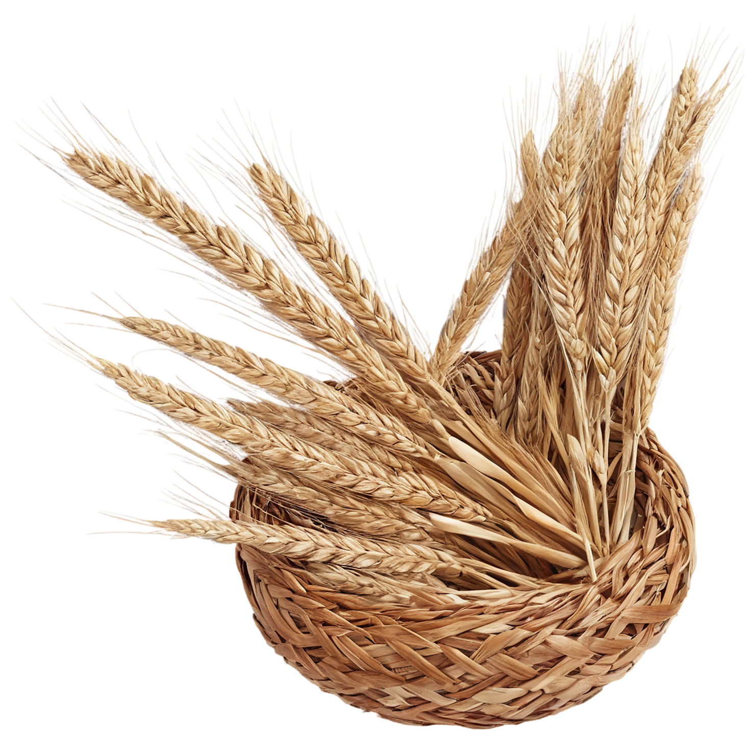 Rye grains isolated on transparent background #5727