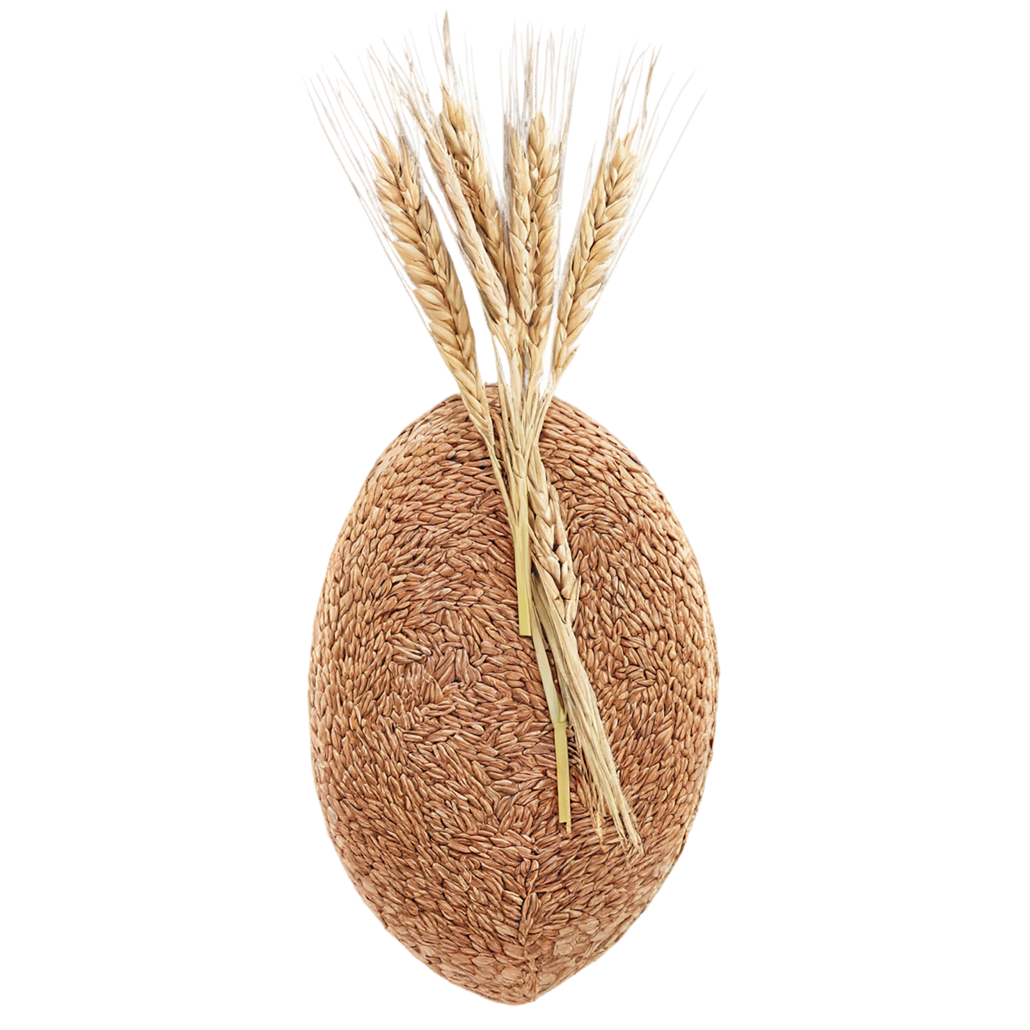 Rye grains isolated on transparent background #5731