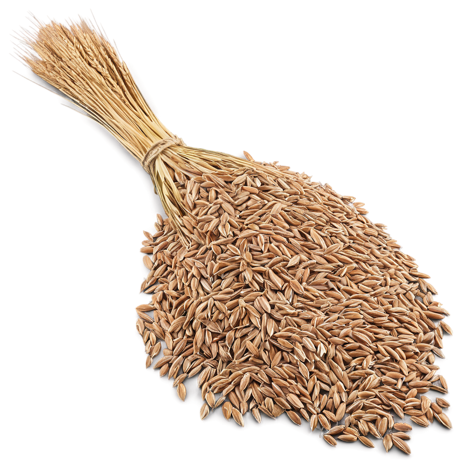 Rye grains isolated on transparent background #5743