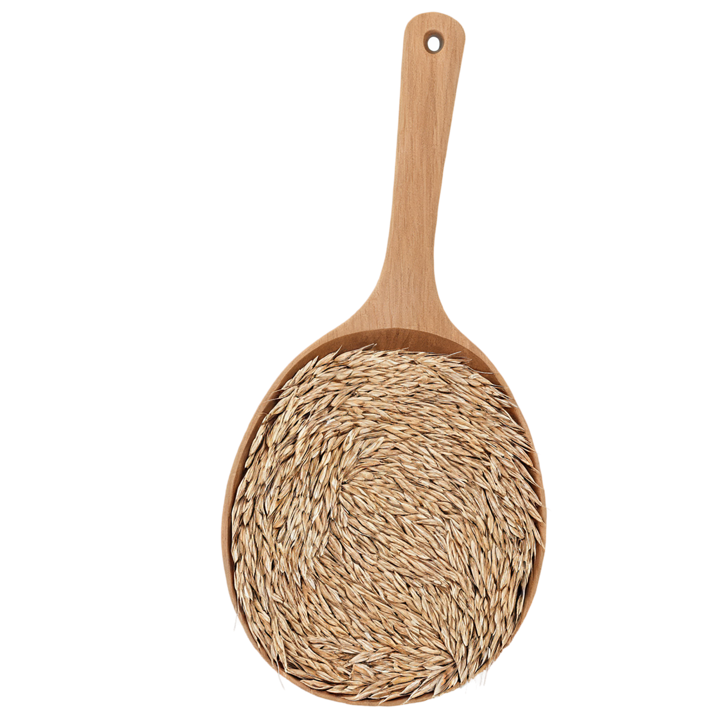 Rye grains isolated on transparent background #5754
