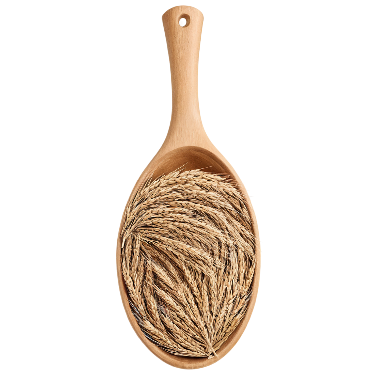 Rye grains isolated on transparent background #5757