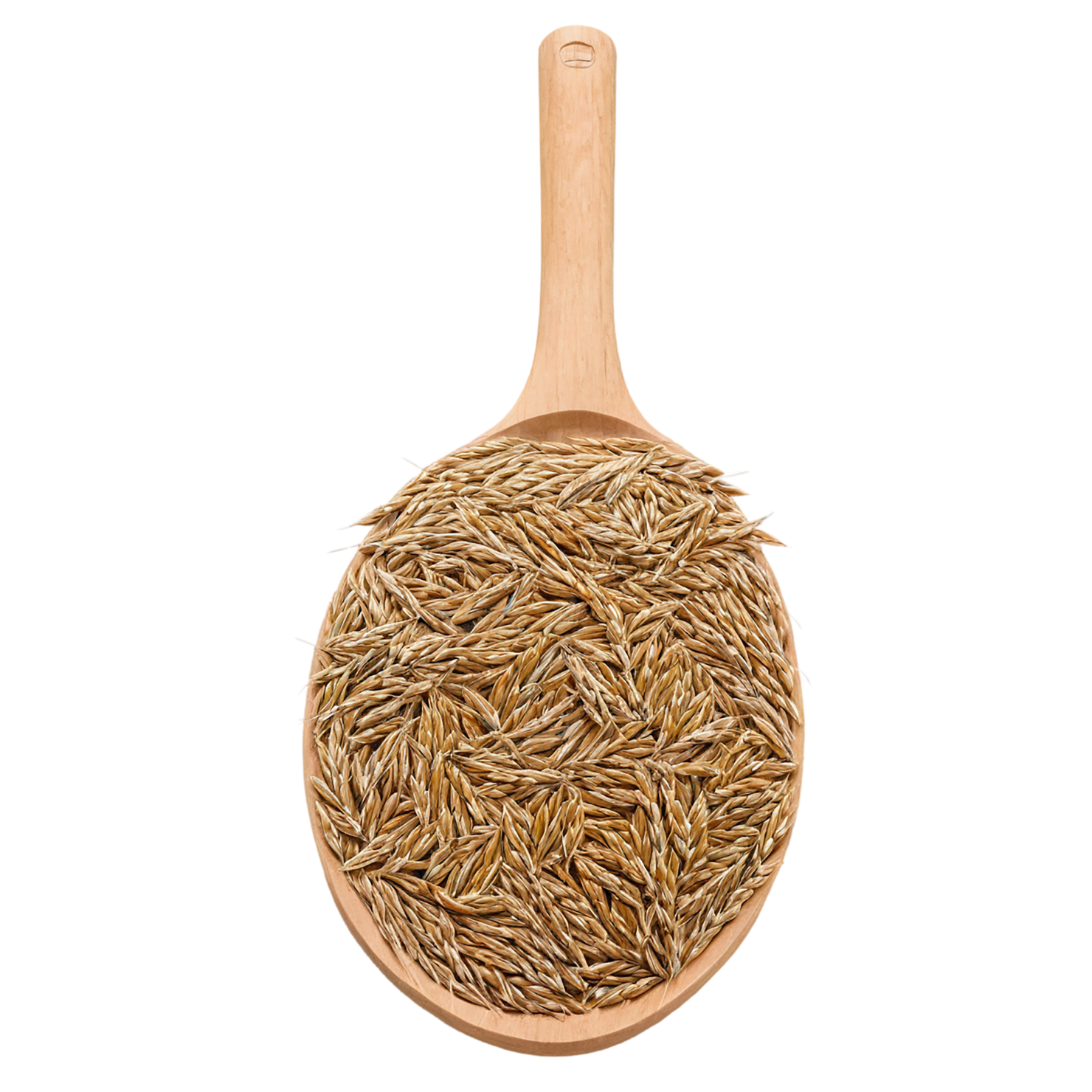 Rye grains isolated on transparent background #5759