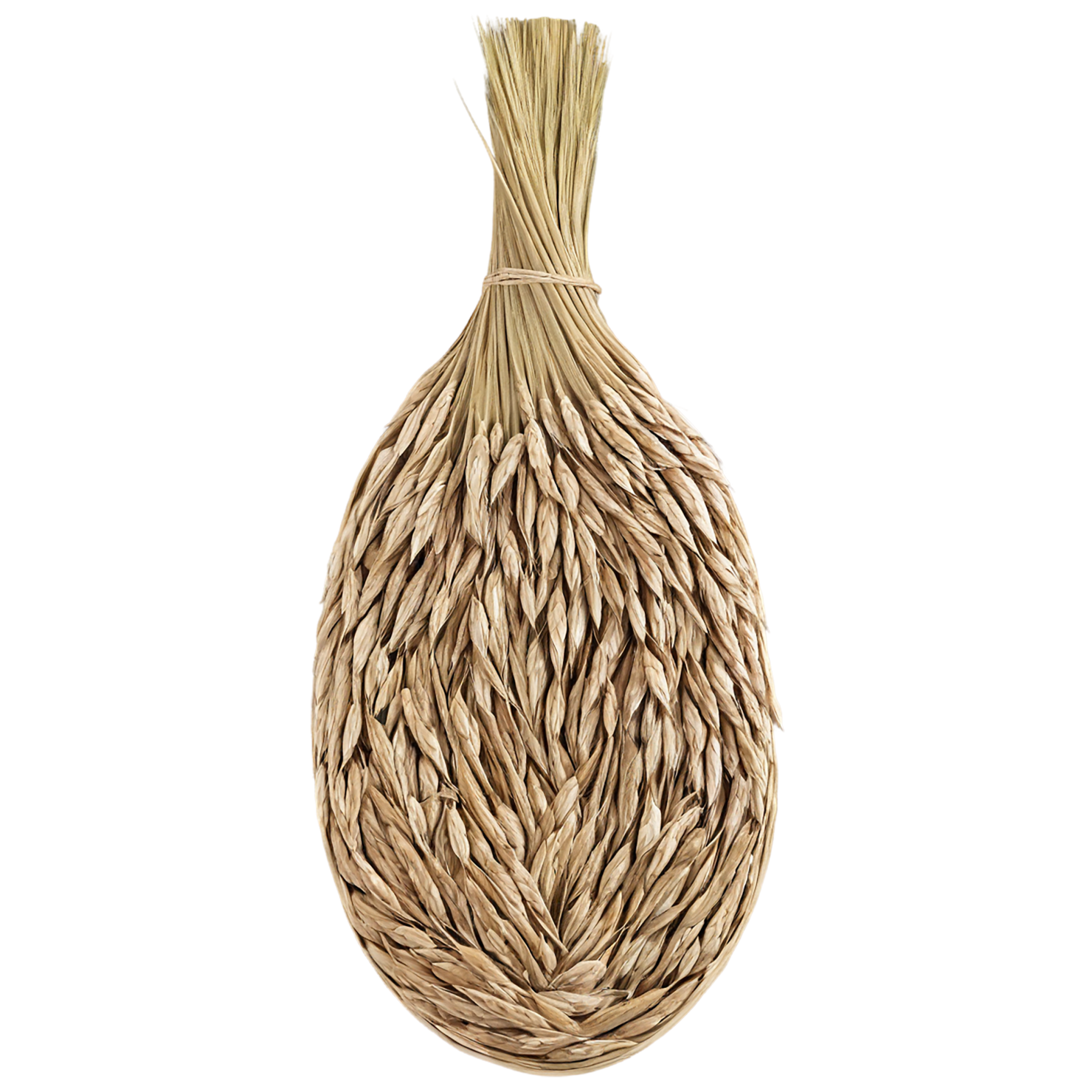 Rye grains isolated on transparent background #5763