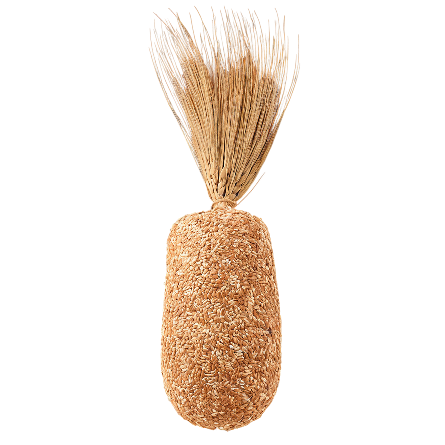Rye grains isolated on transparent background #5771