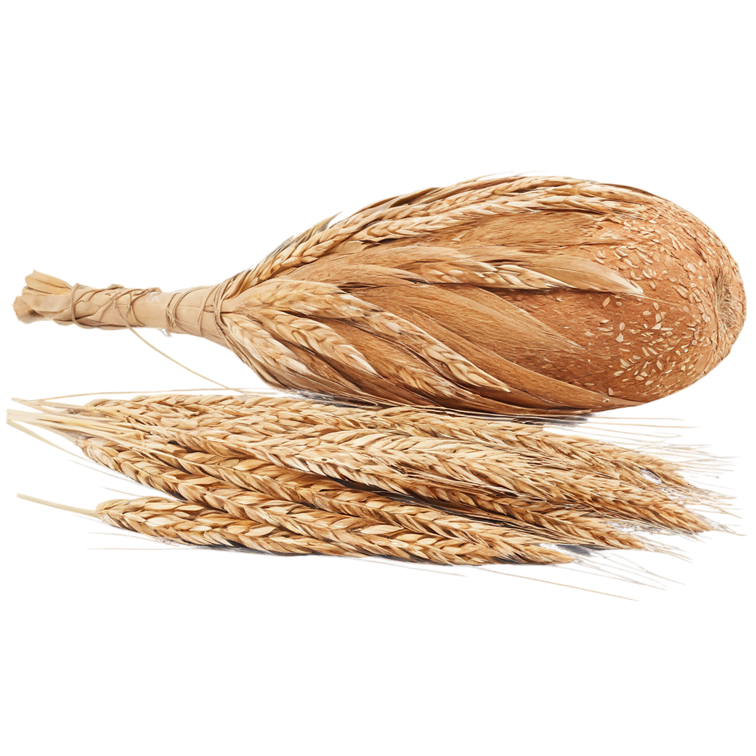 Rye grains isolated on transparent background #5772
