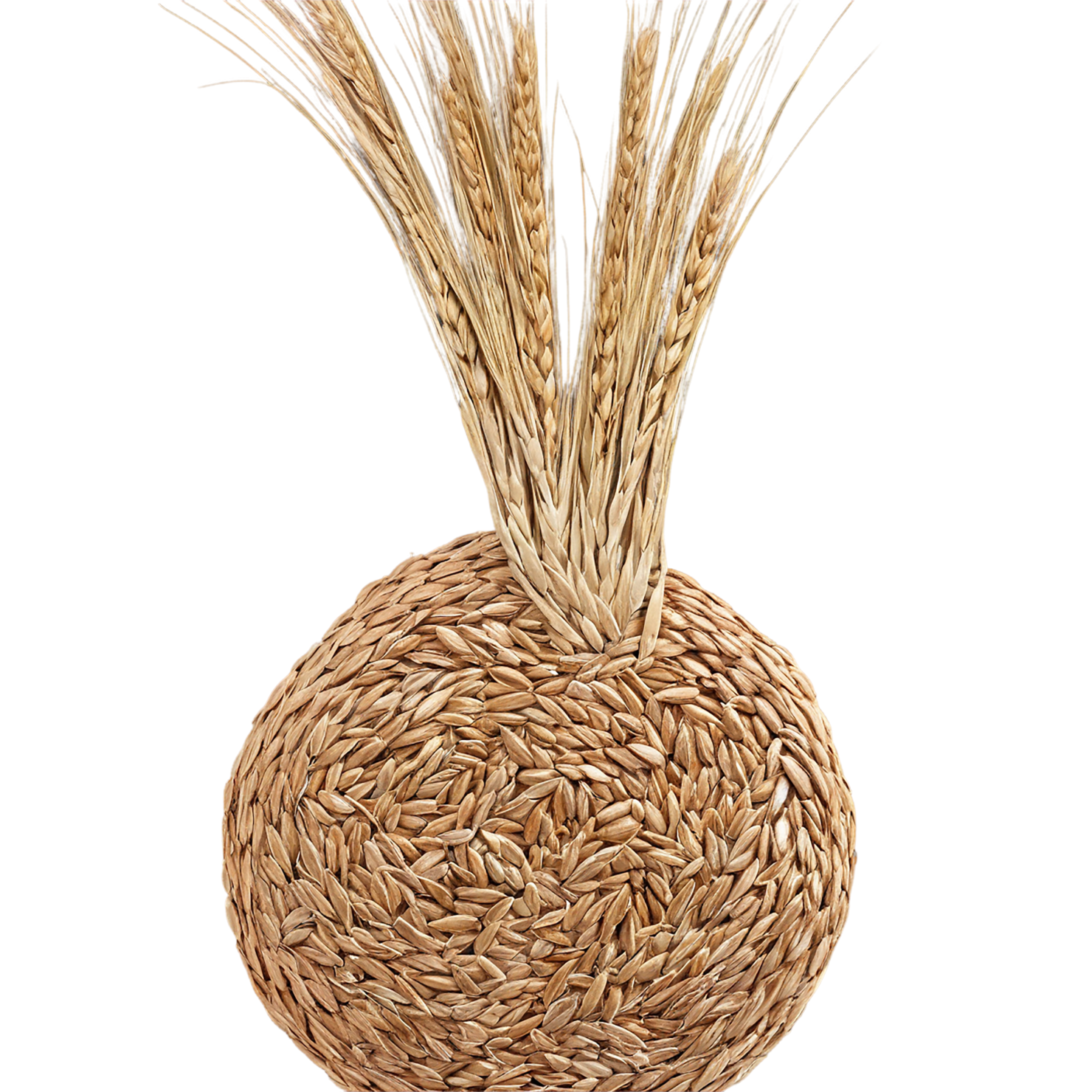 Rye grains isolated on transparent background #5775